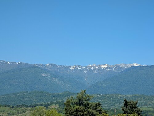 Гостиница Пролето в Сочи