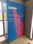 Ozon Box (Kosmonavtov Street, 38) ، الطرود الآلي