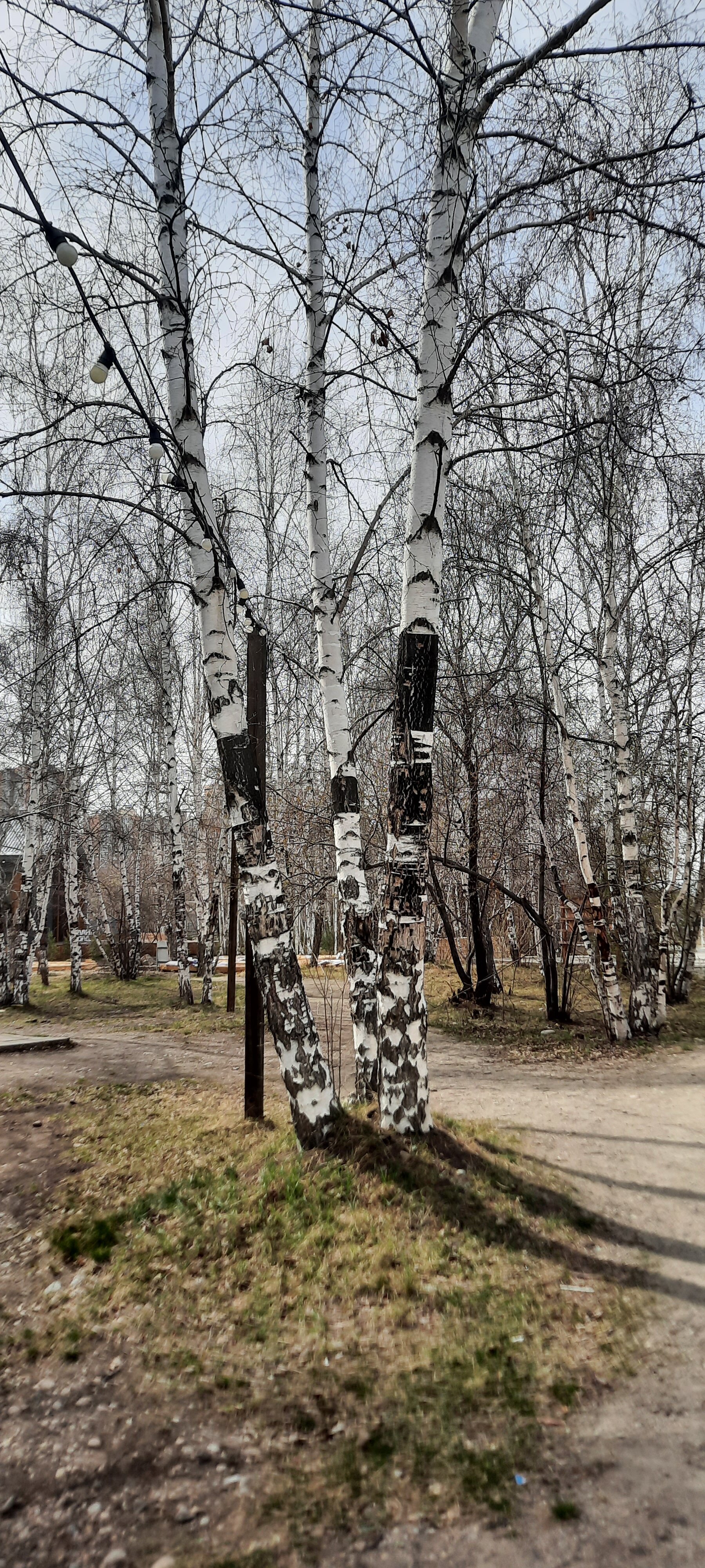 Фото Байкал-Аляска