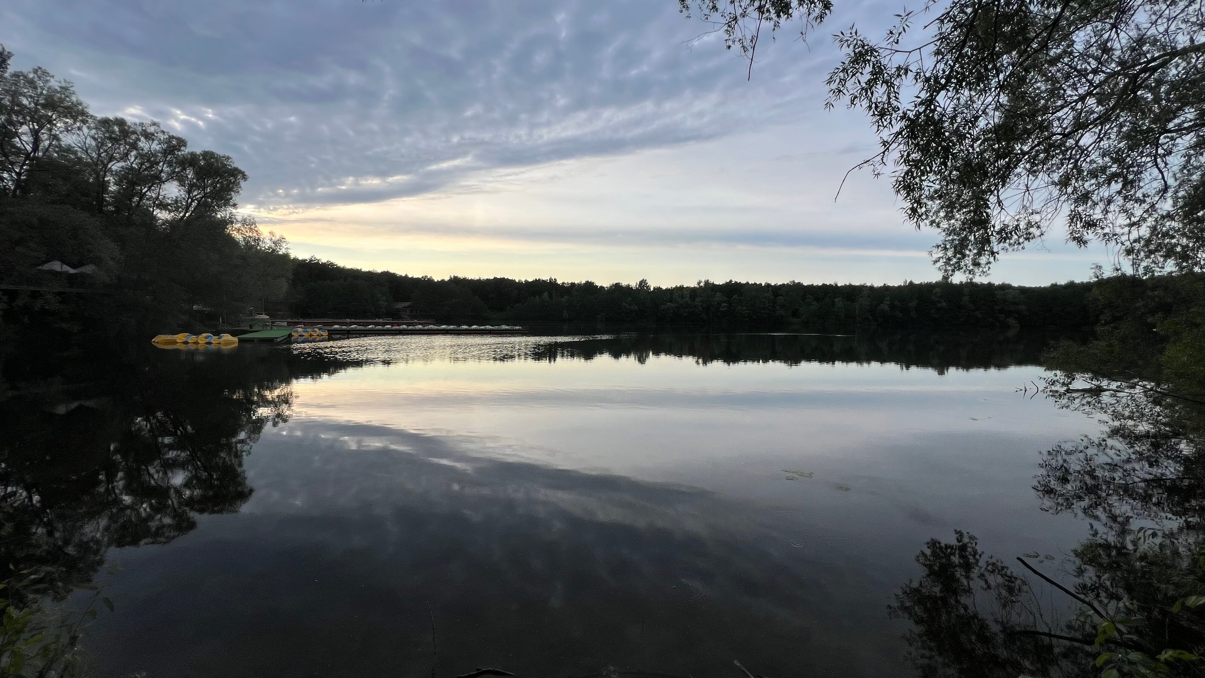 Фото Красивая поляна