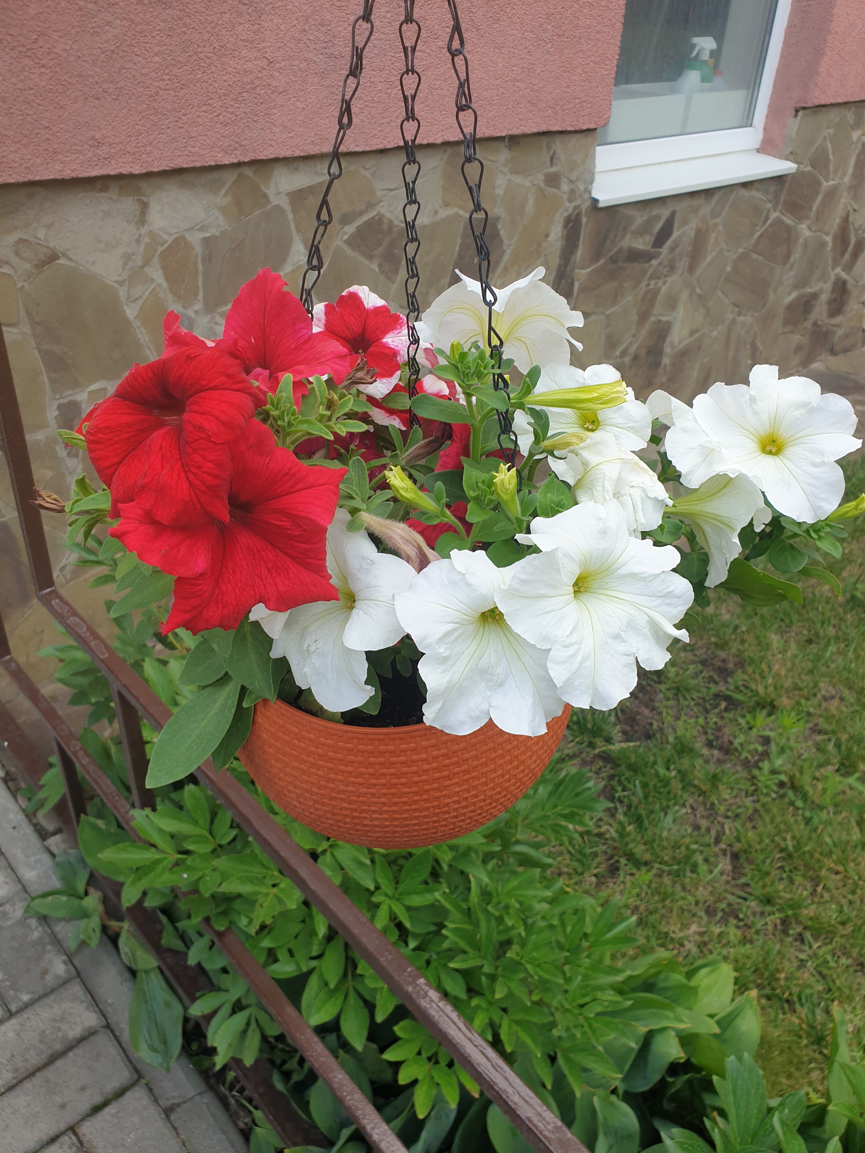 Фото На Заячьей поляне