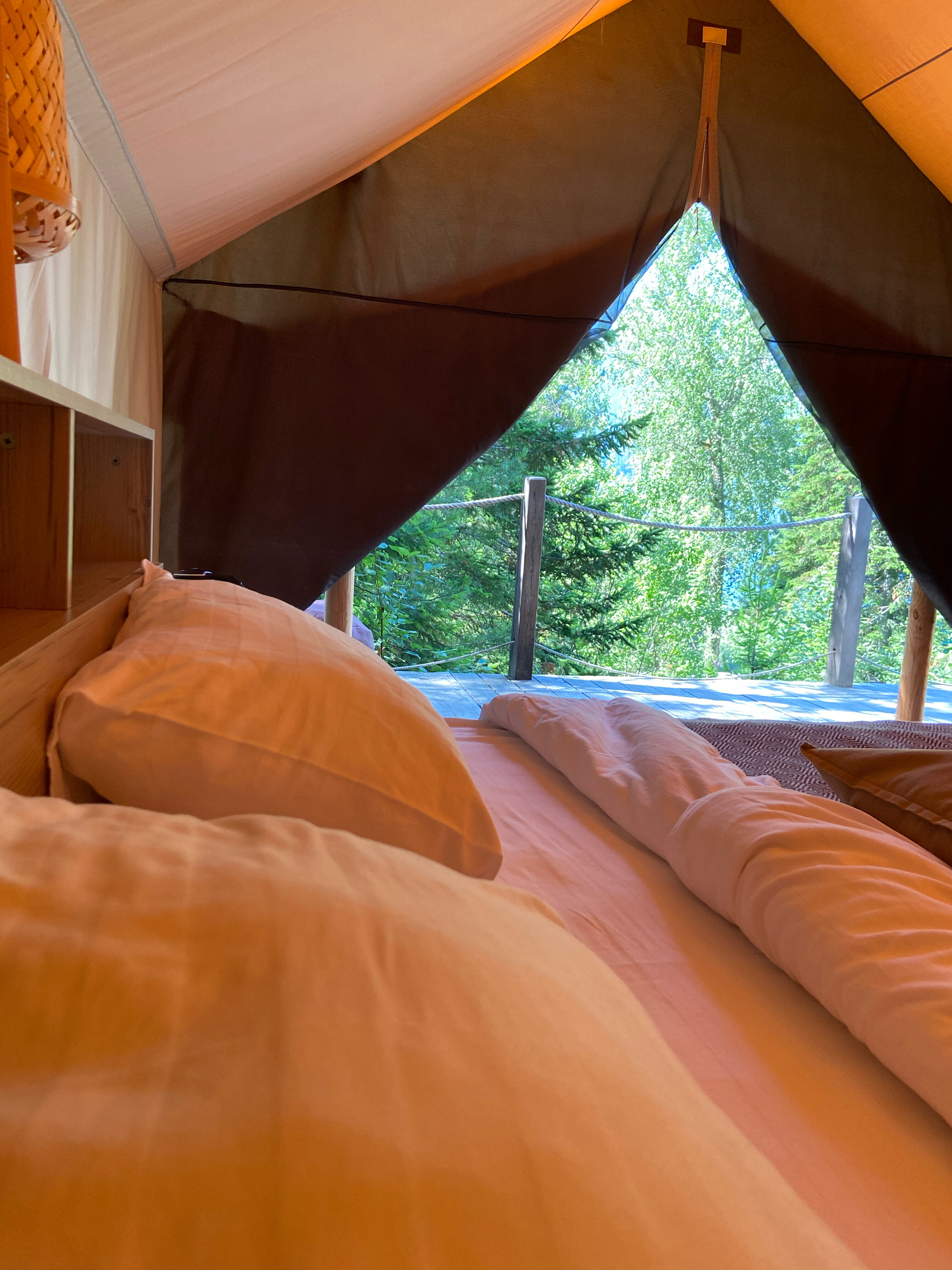 Фото Кедровая берлога