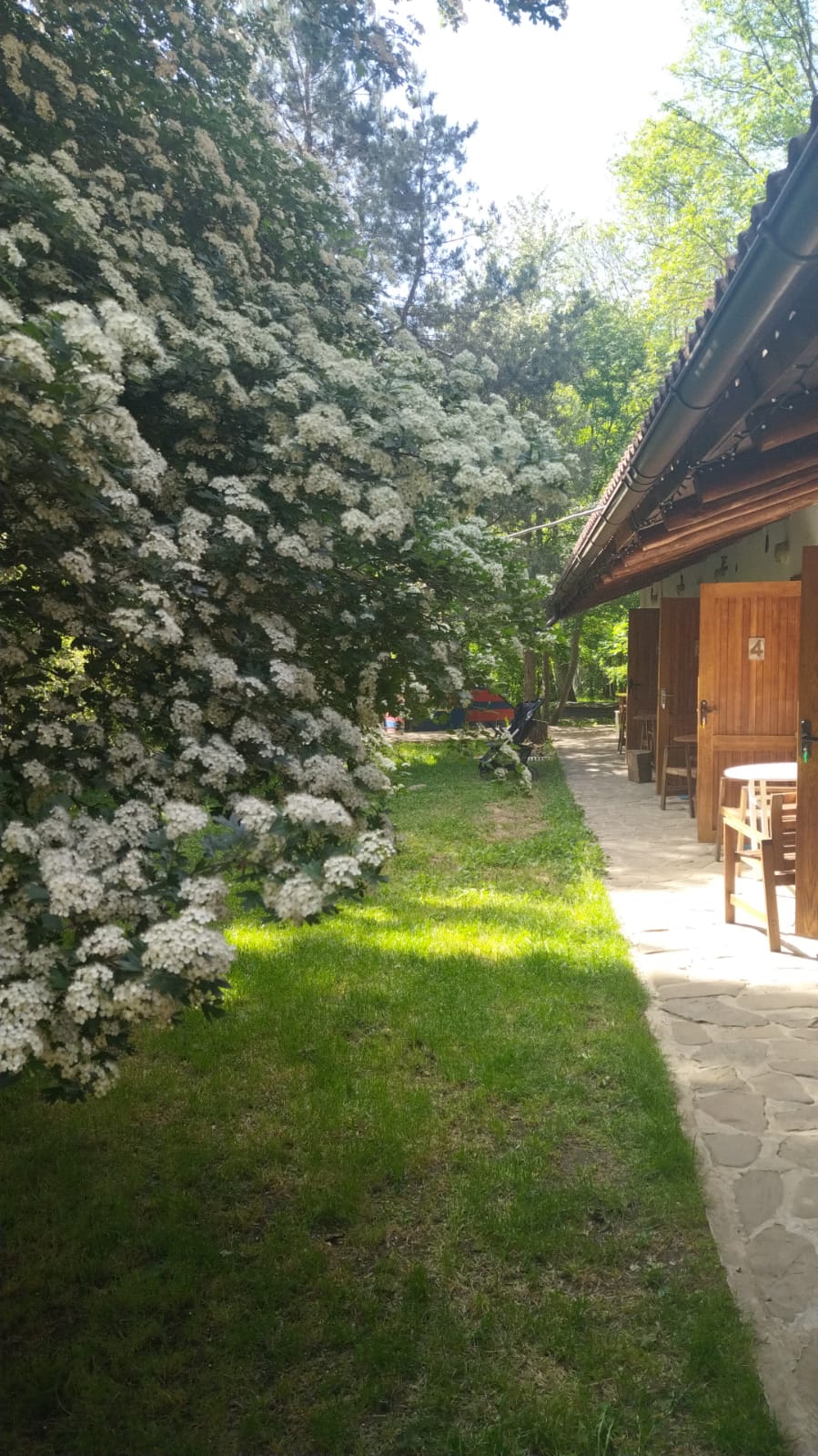 Фото Поляна Убинская