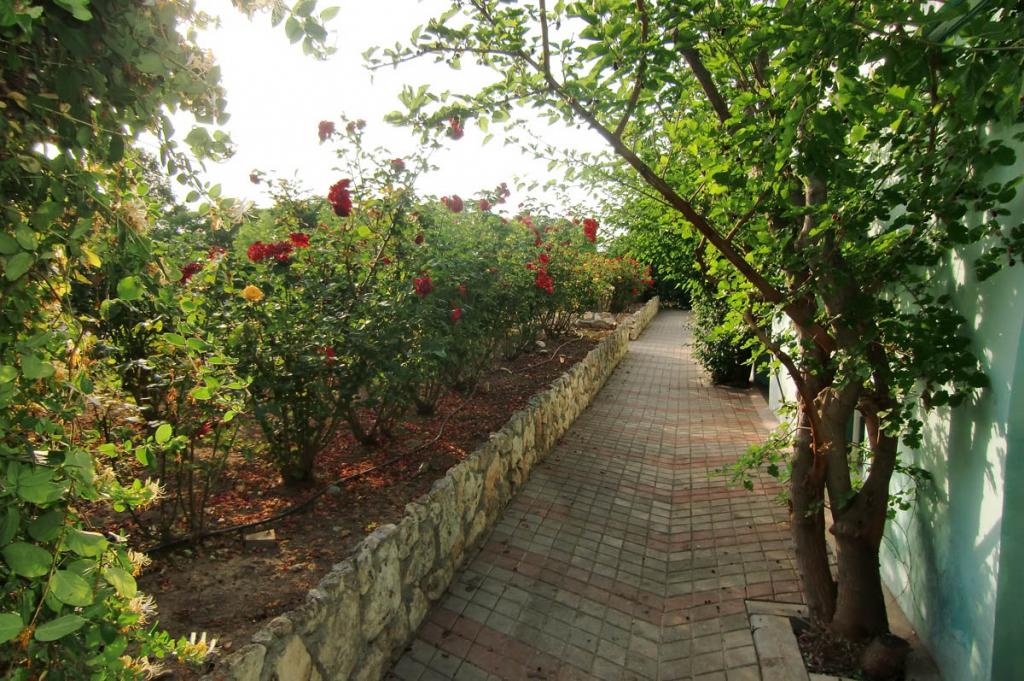 Фото Город-Ок