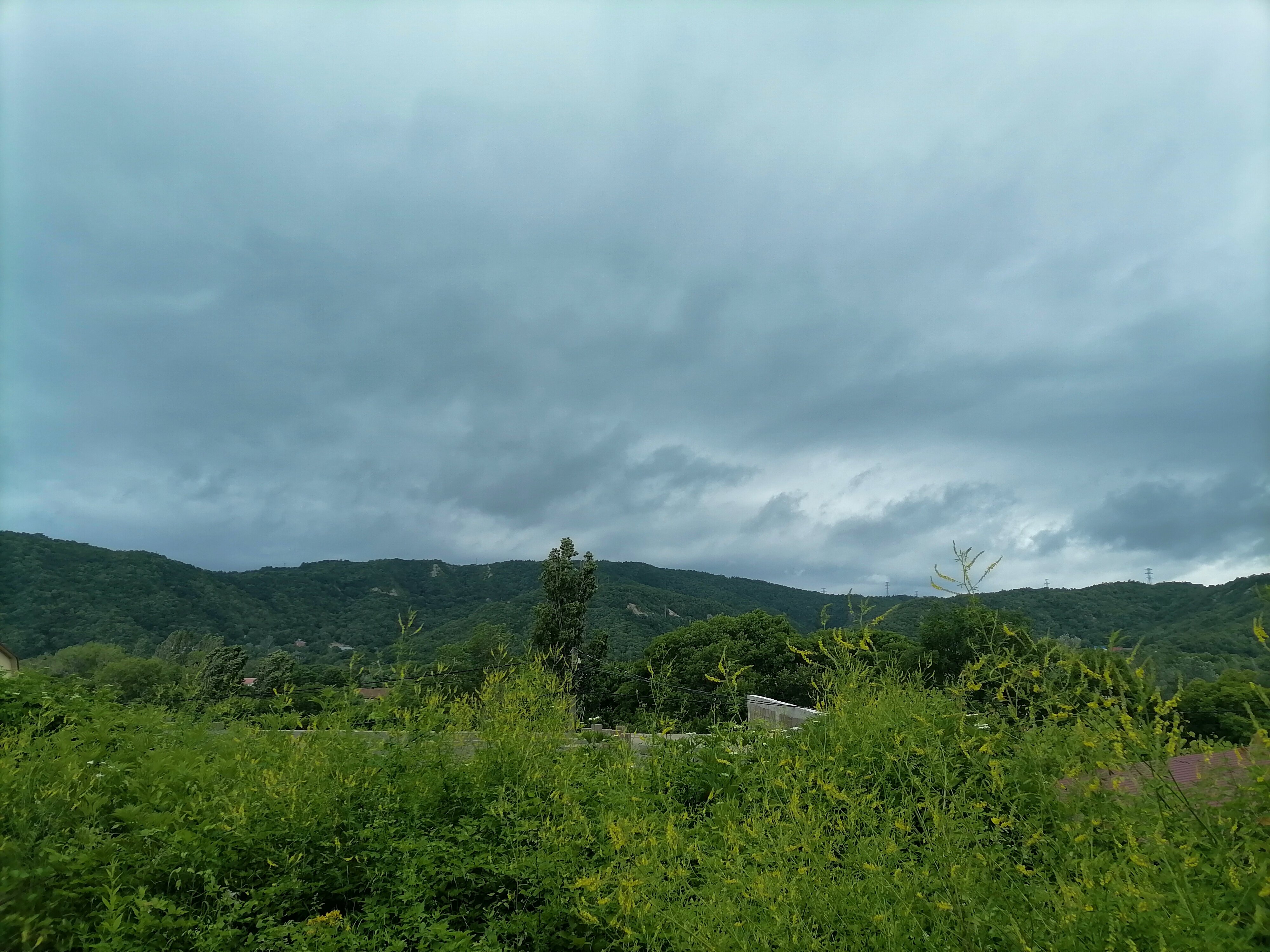 Фото Аэлита