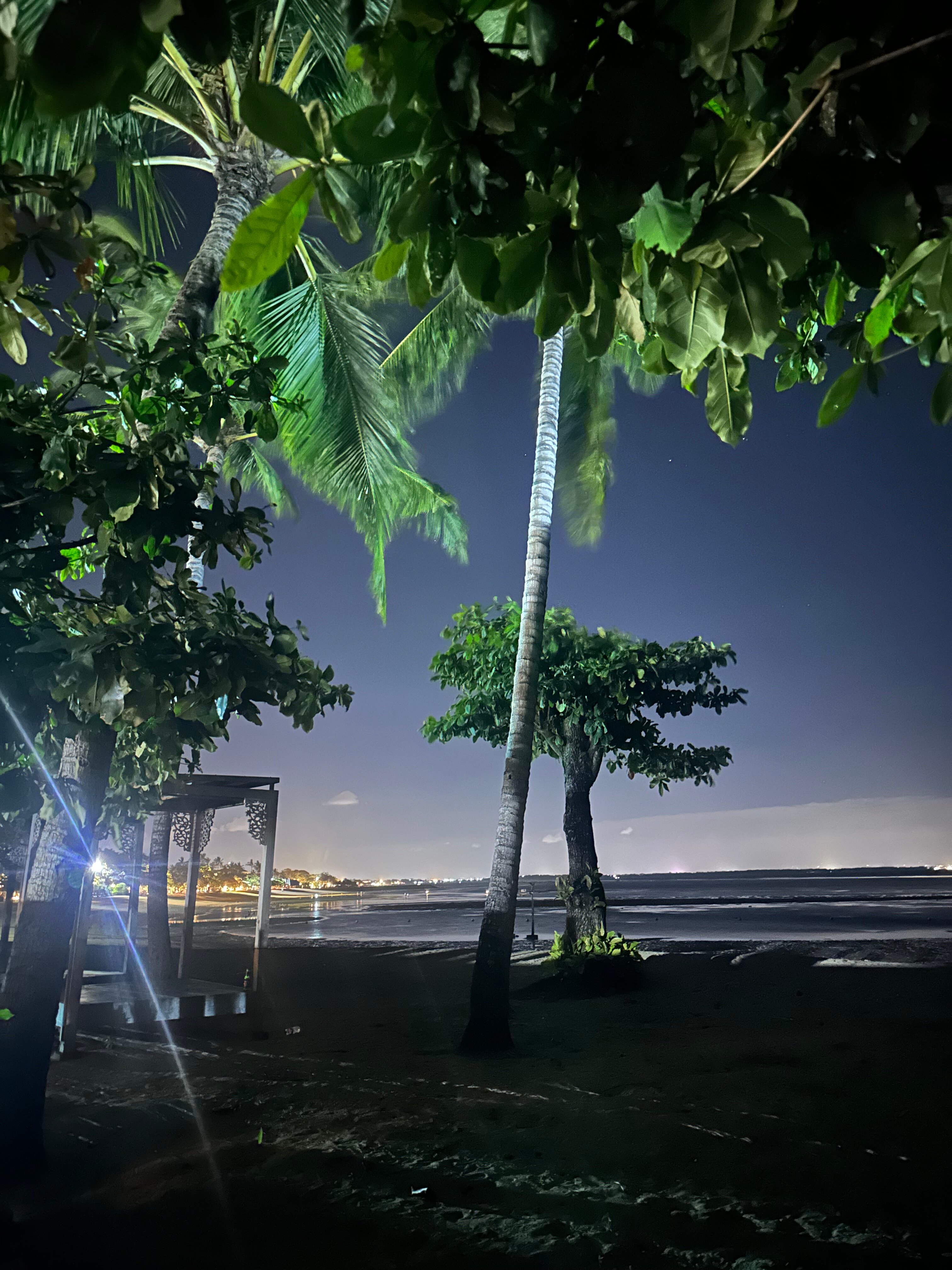 Фото Nusa Dua Beach Hotel