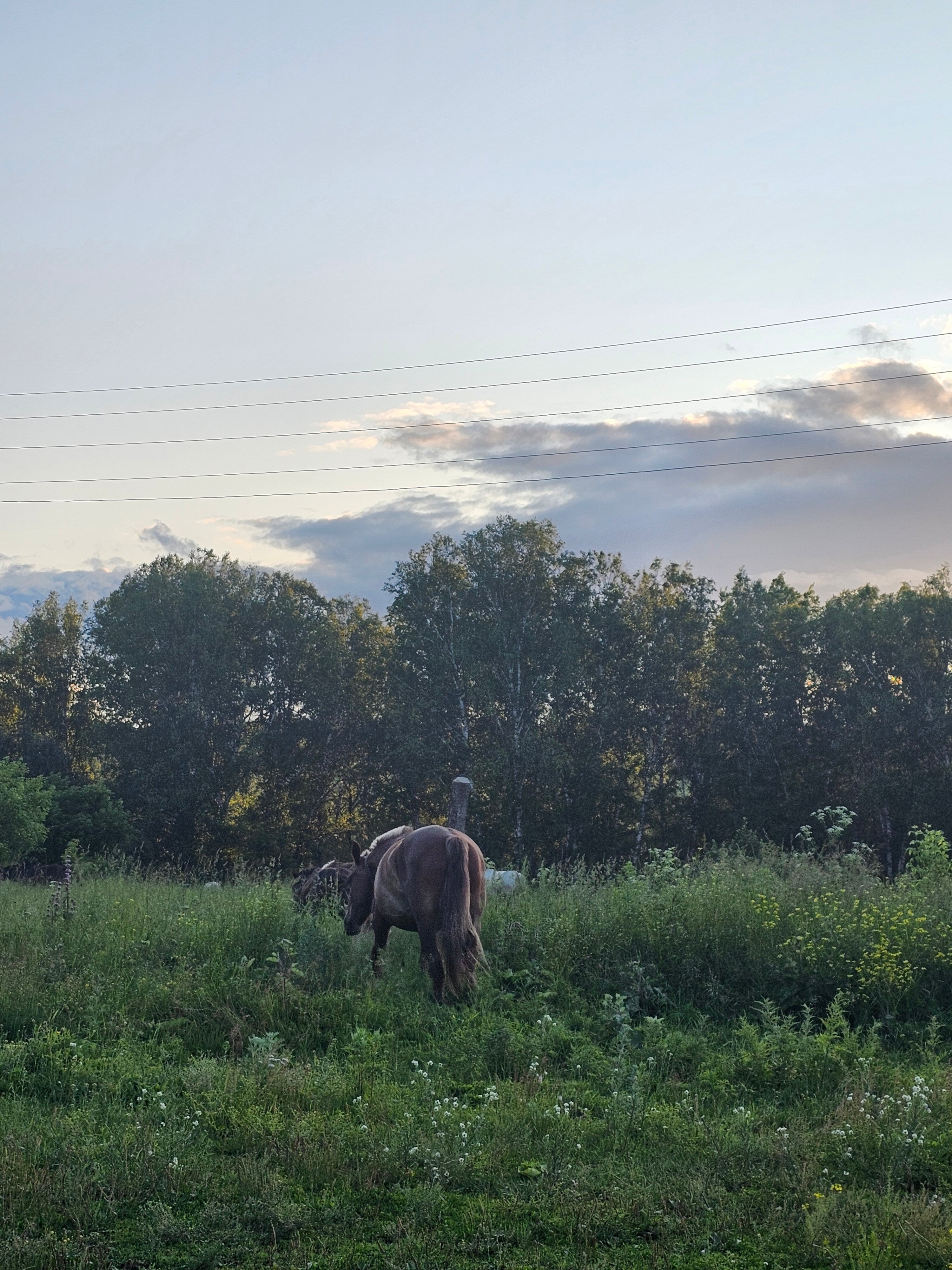 Фото Гостевой дом Кинтереп