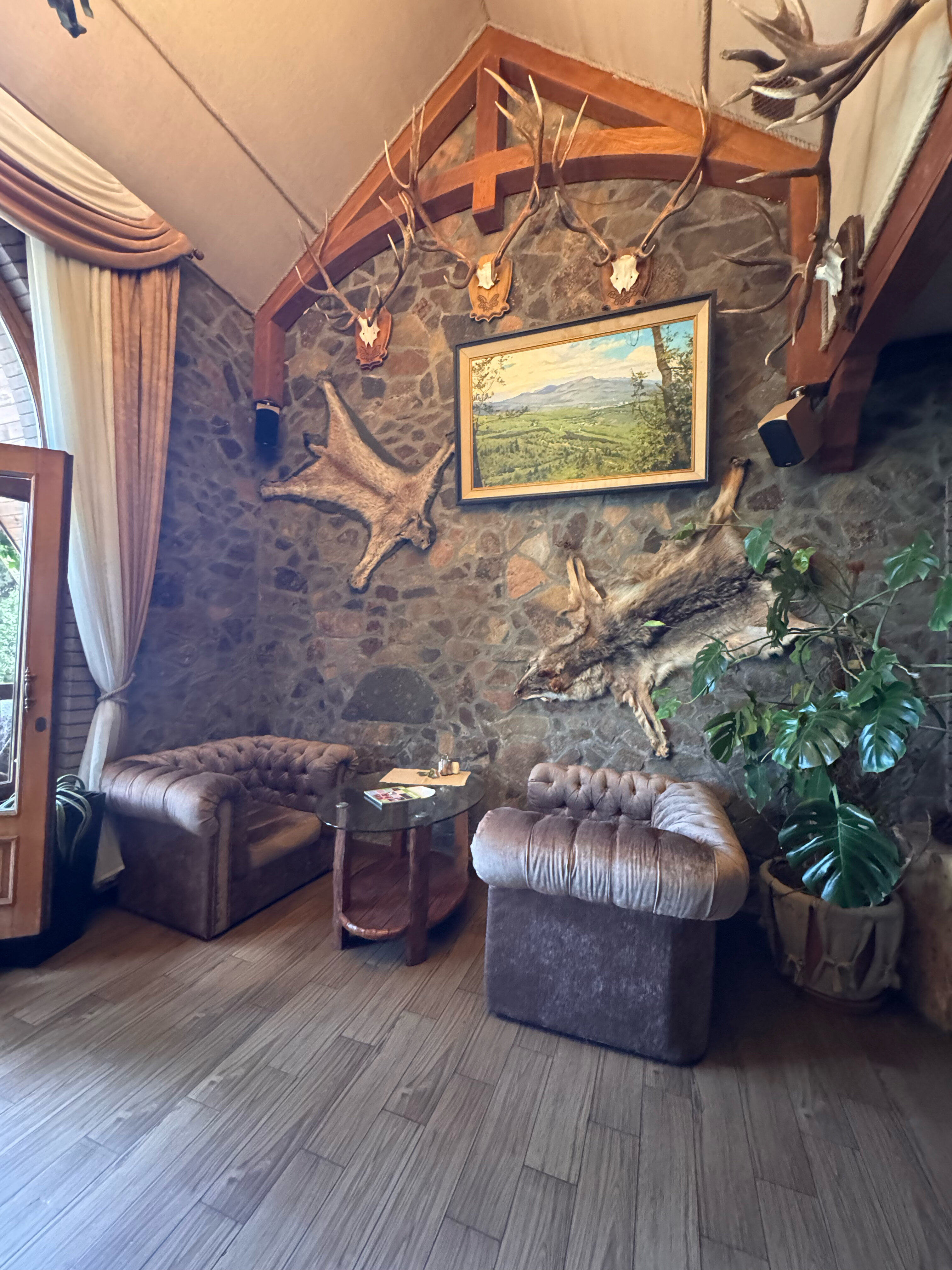 Фото Лесной