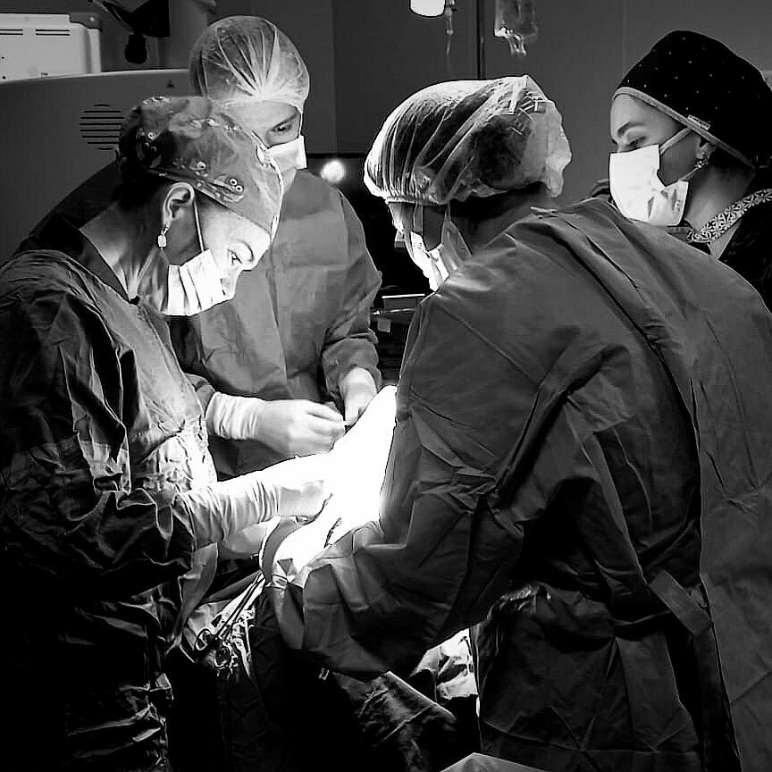 Private practice doctors Dr. Melis Palamar Onay, Izmir, photo