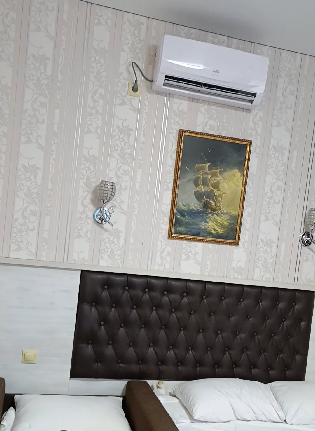 Фото Ленивый тюлень