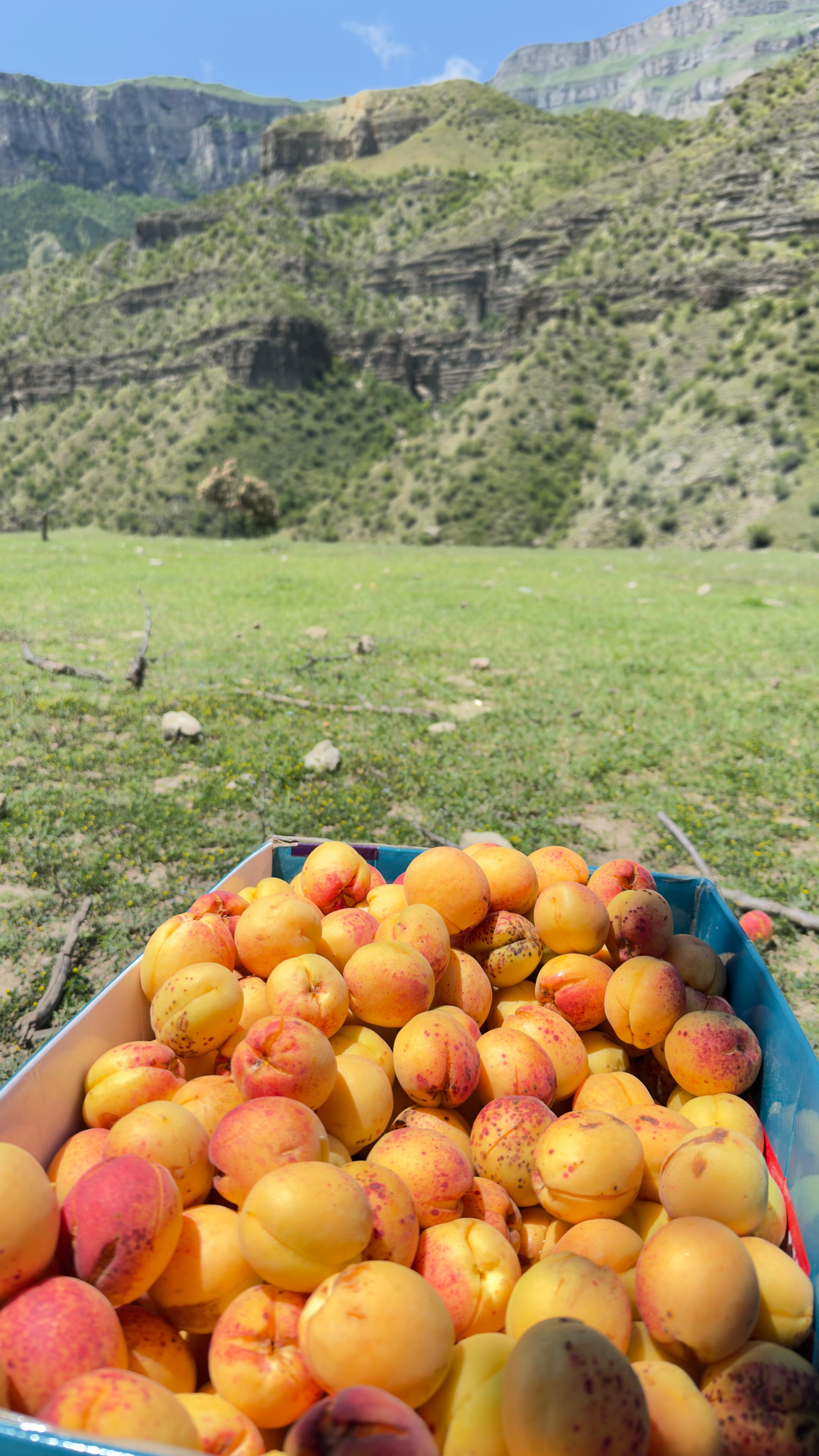 Фото Счастье в горах