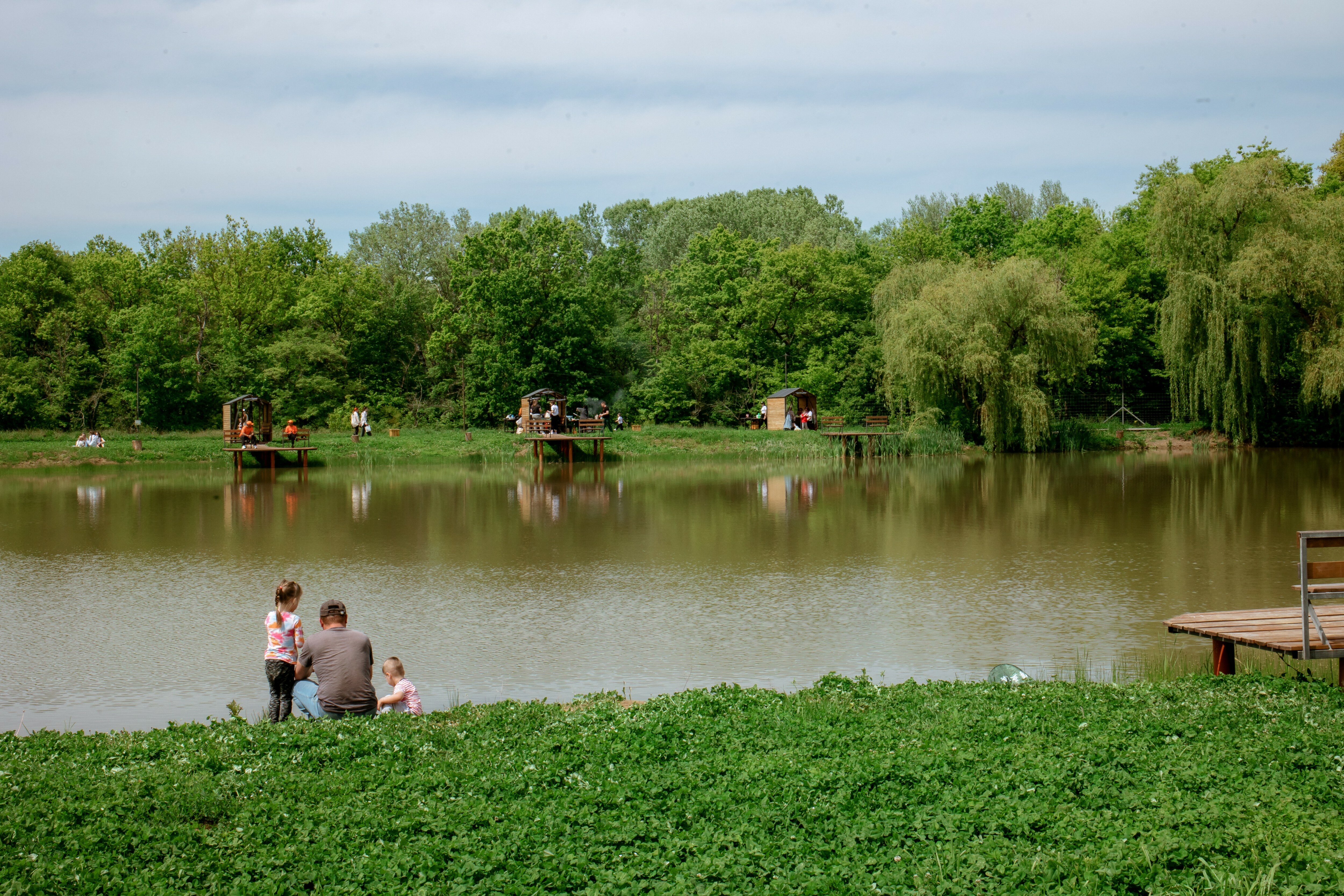 Фото Клевер Парк