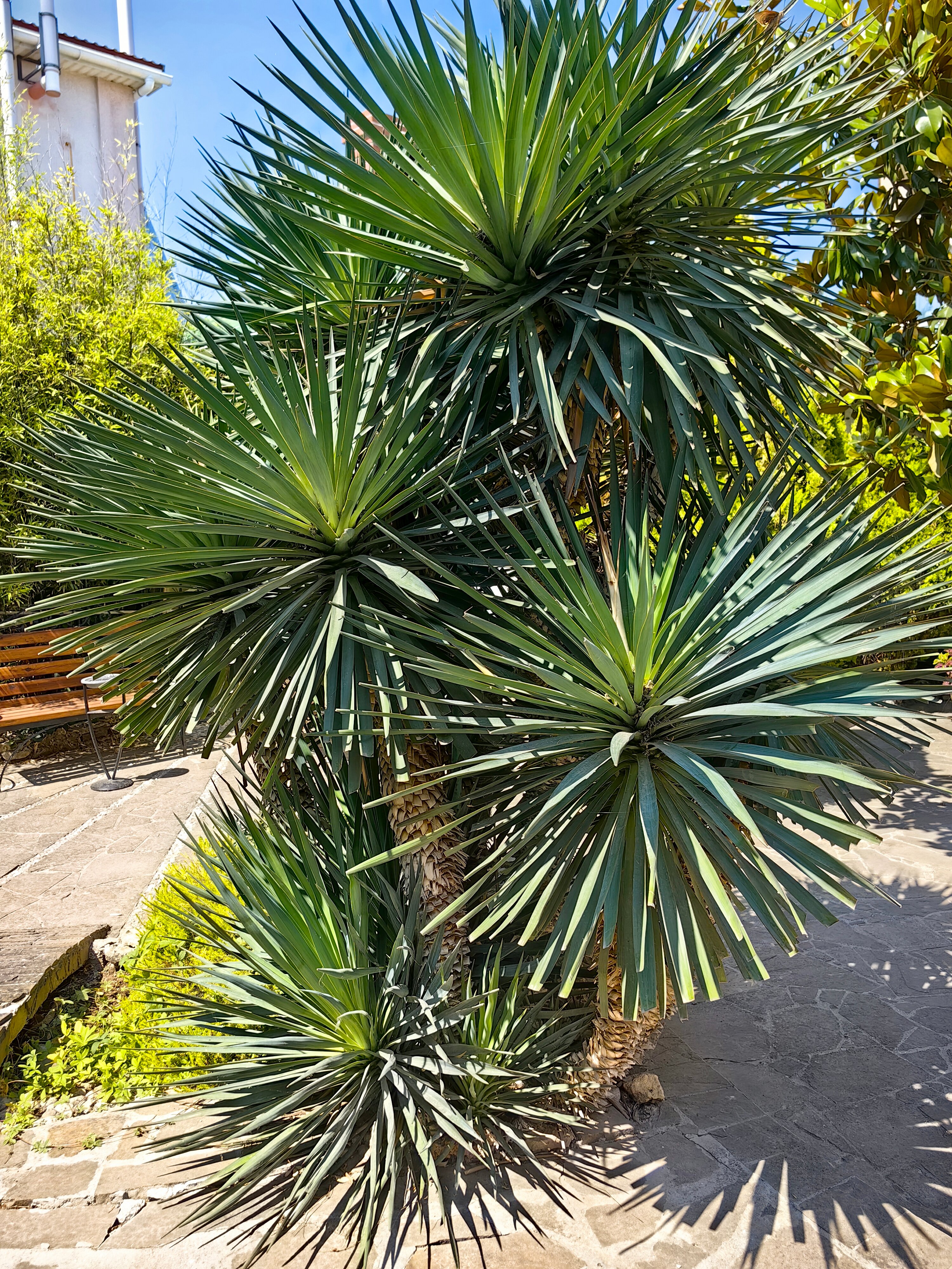 Фото Вилла Opc