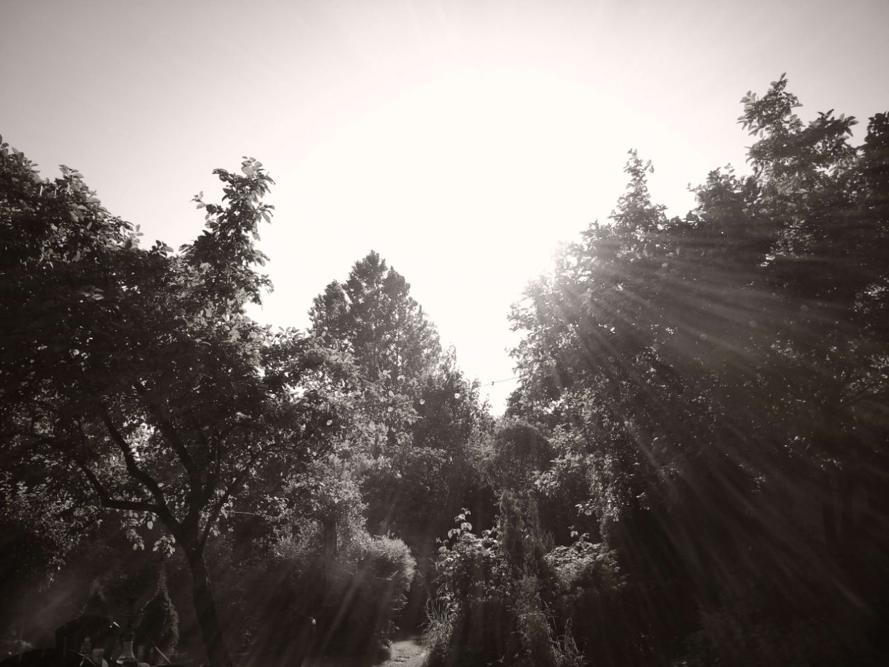 Фото Тихо в городе