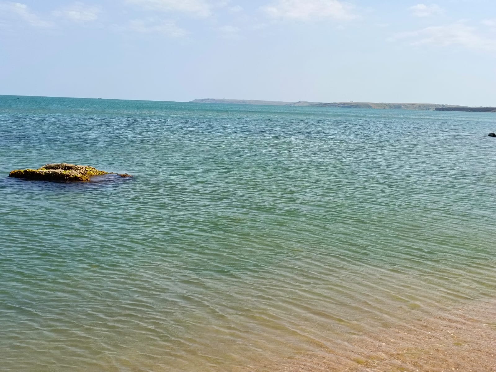 Фото Жемчужный