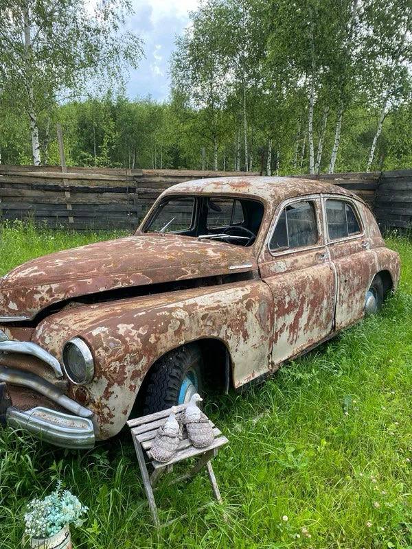 Фото В Поле