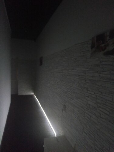 Тек сорады және оны есекке береді