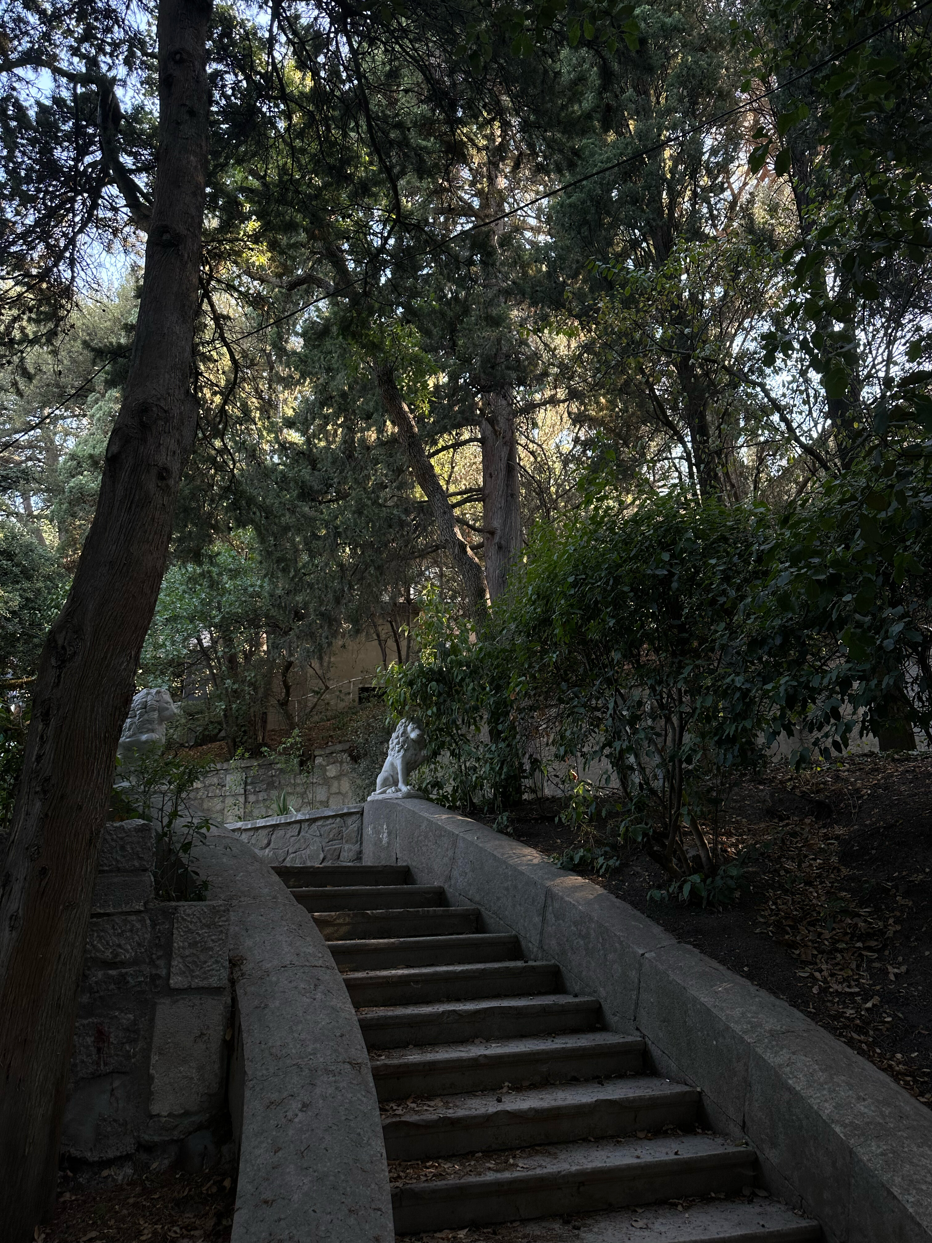 Фото Отрадное Вилла