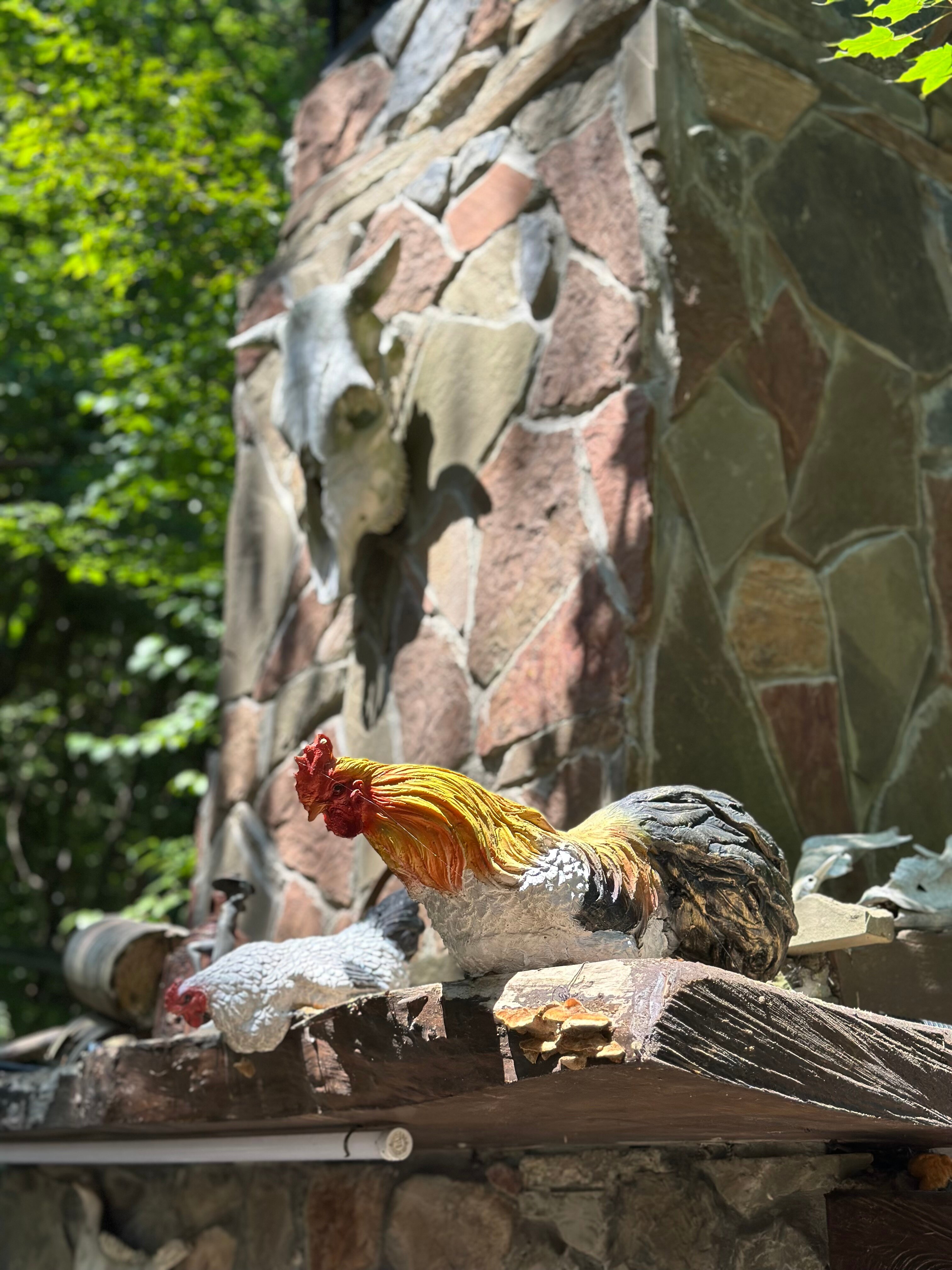 Фото Лесной домик Ель