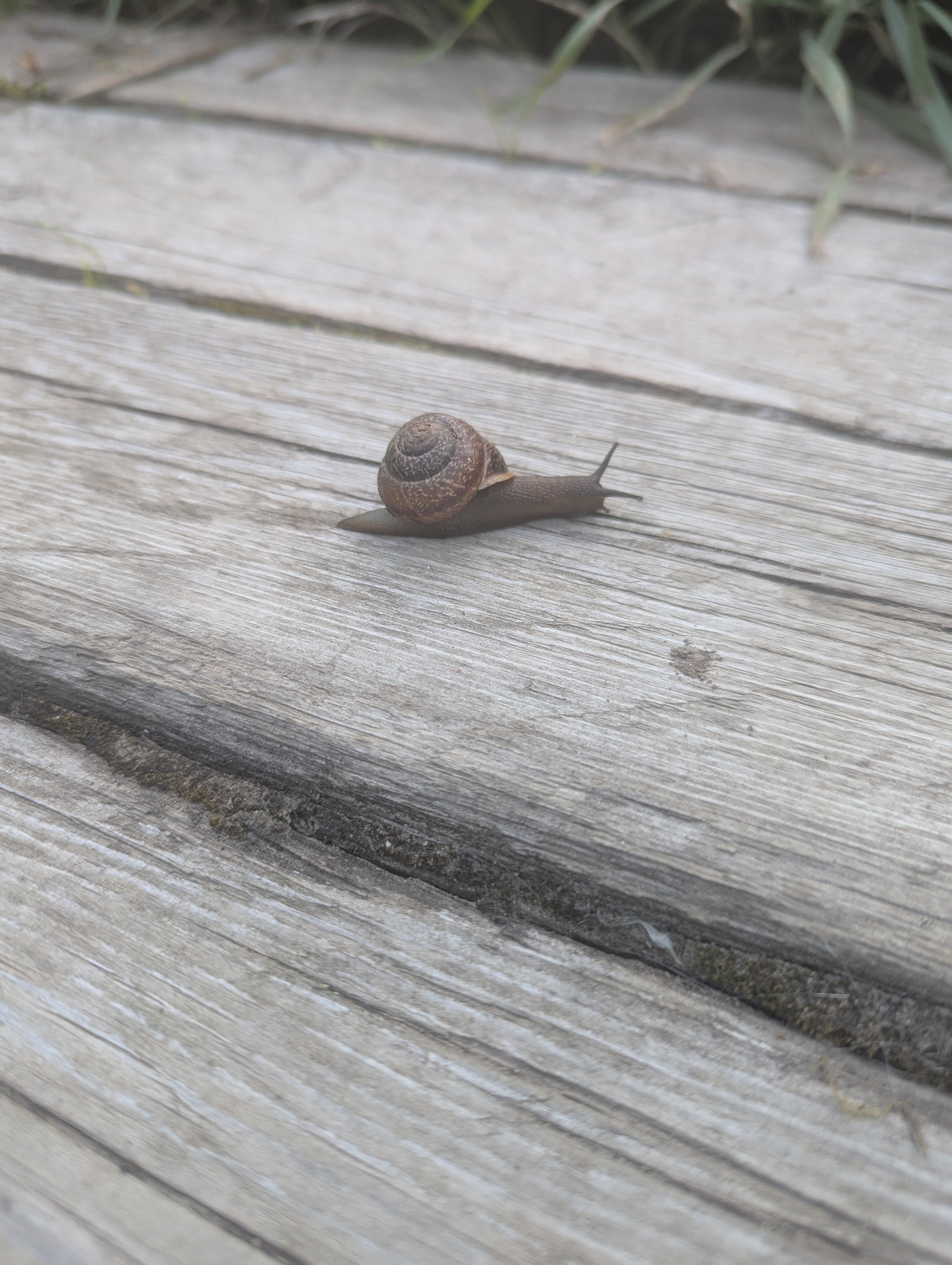 Фото Водлозеро