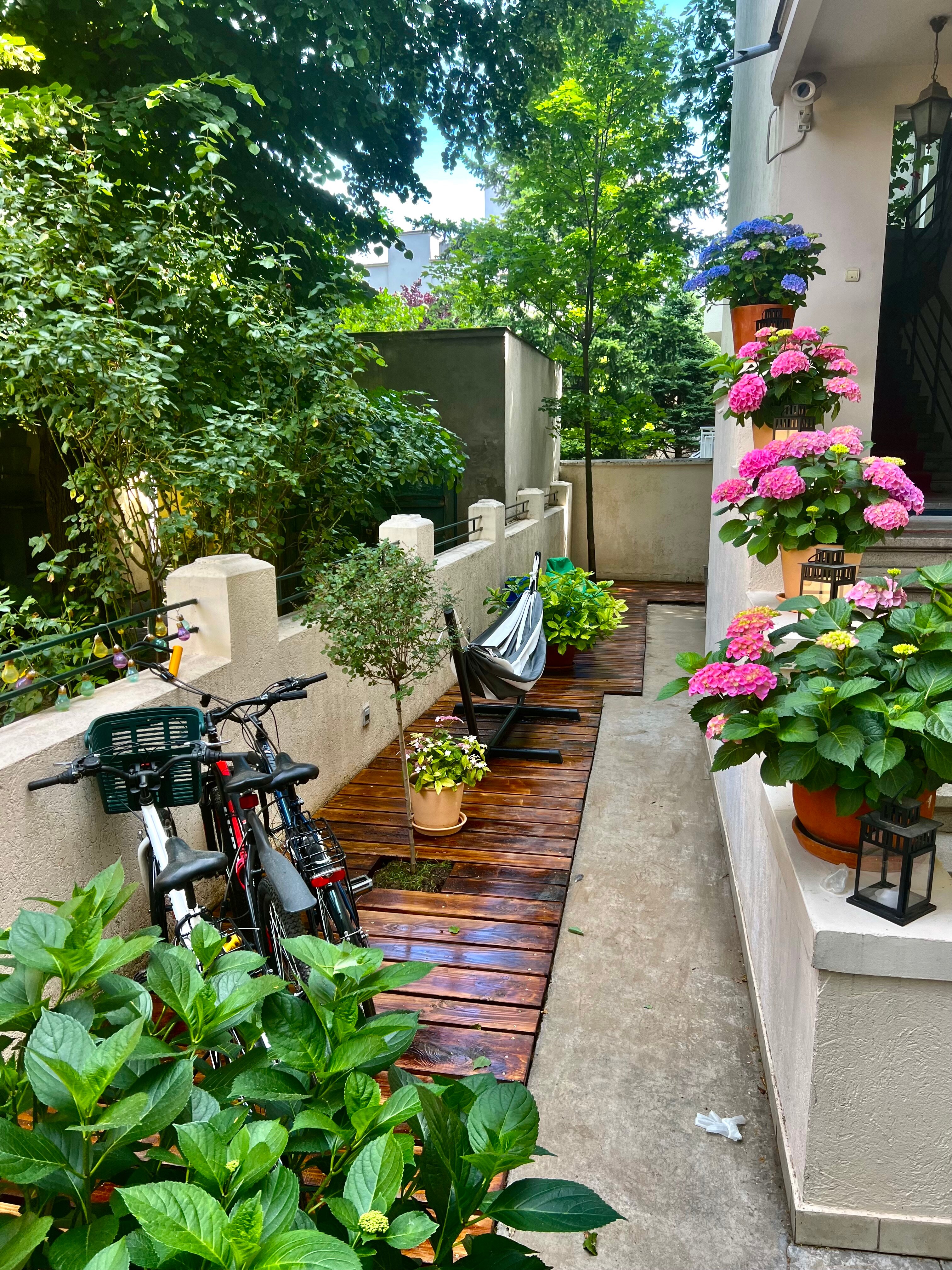 Фото Cabbage Hostel