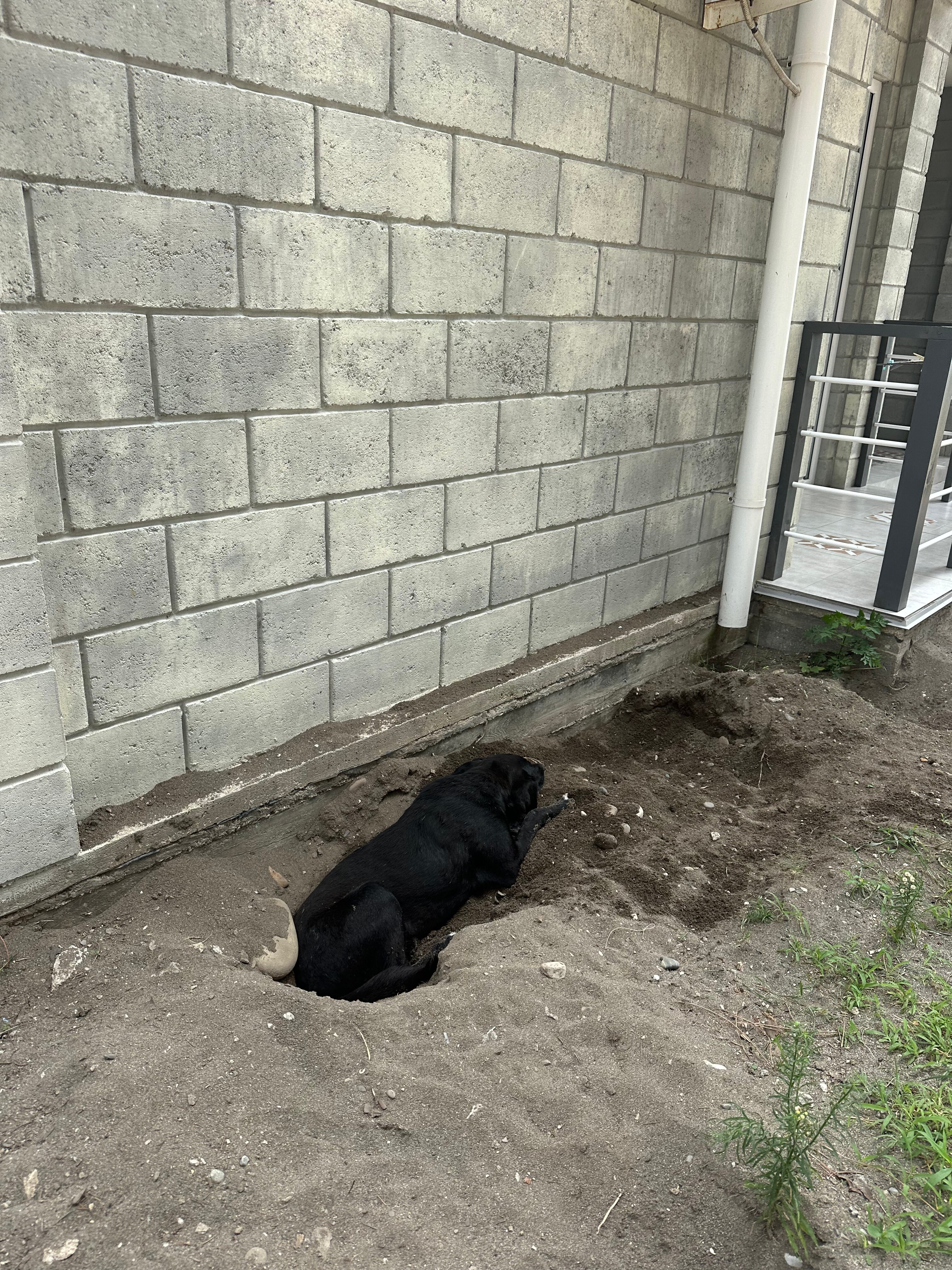 Фото ApsnyPearl-Жемчужина