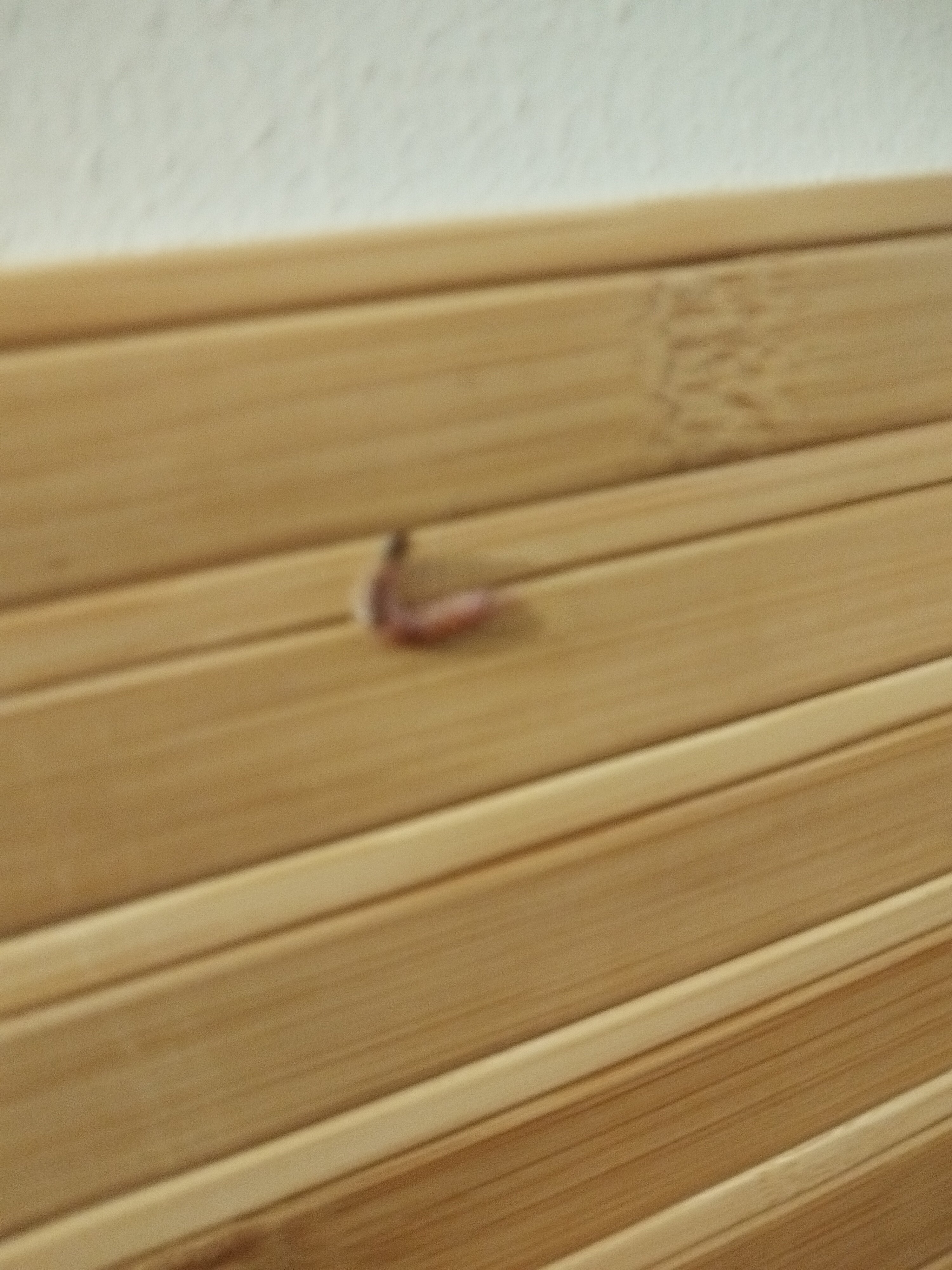 Фото Садочек