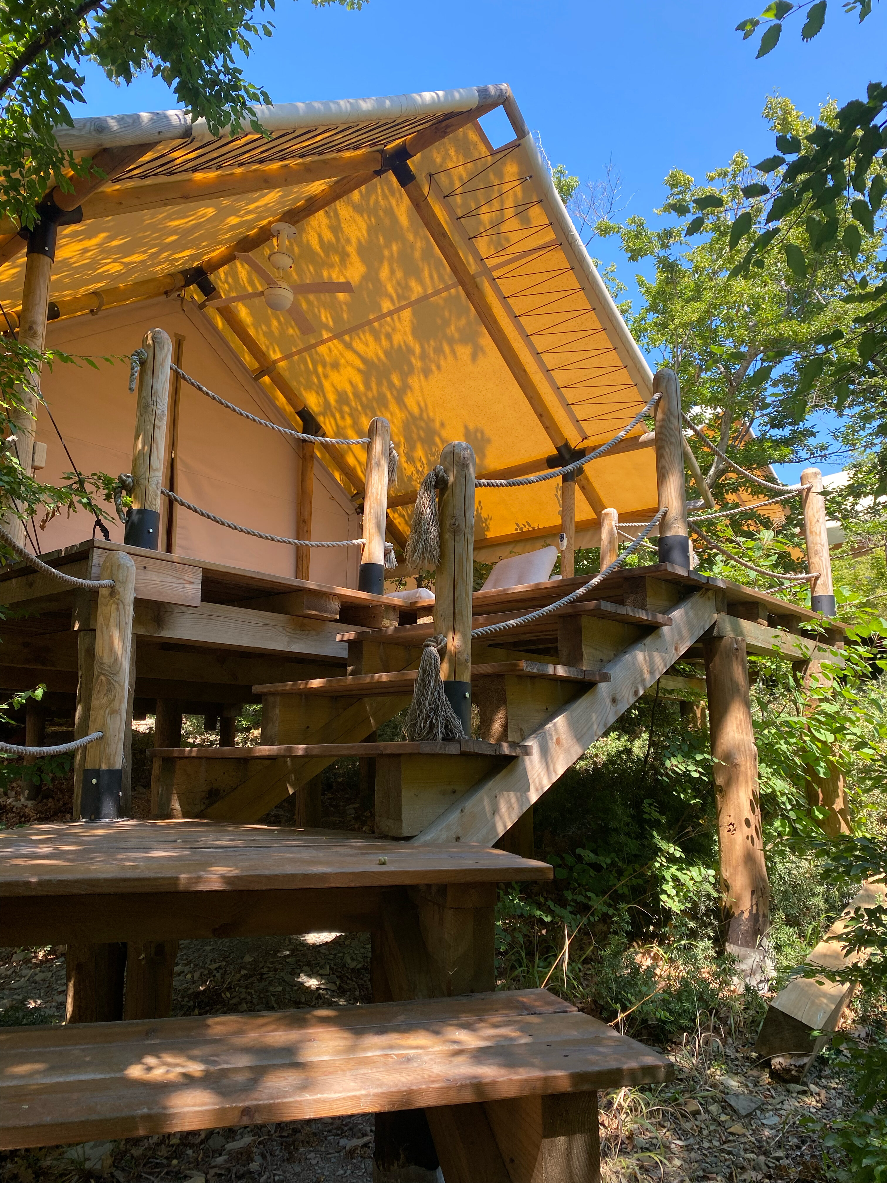 Фото Звезда