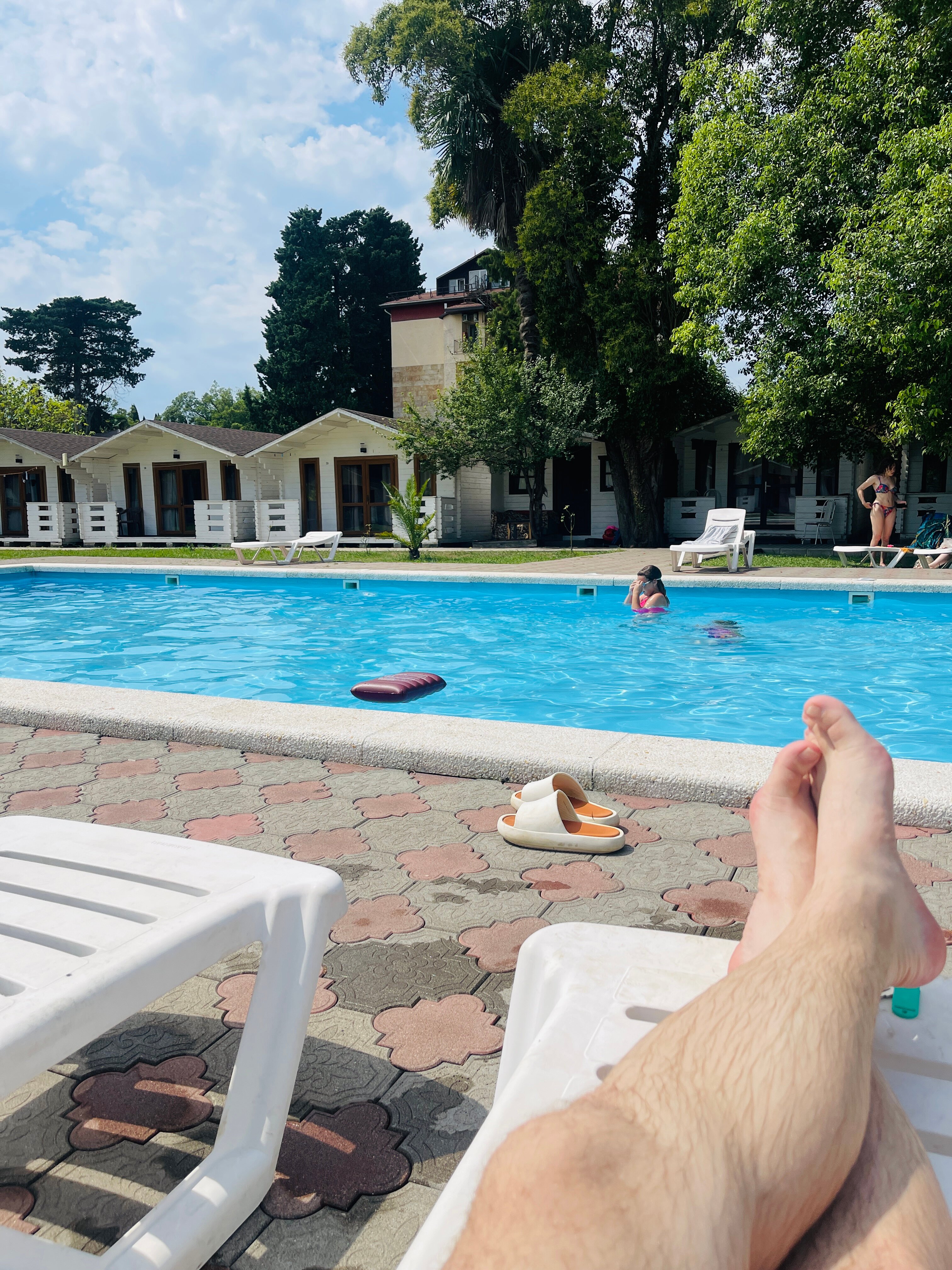 Фото Цитрус 1