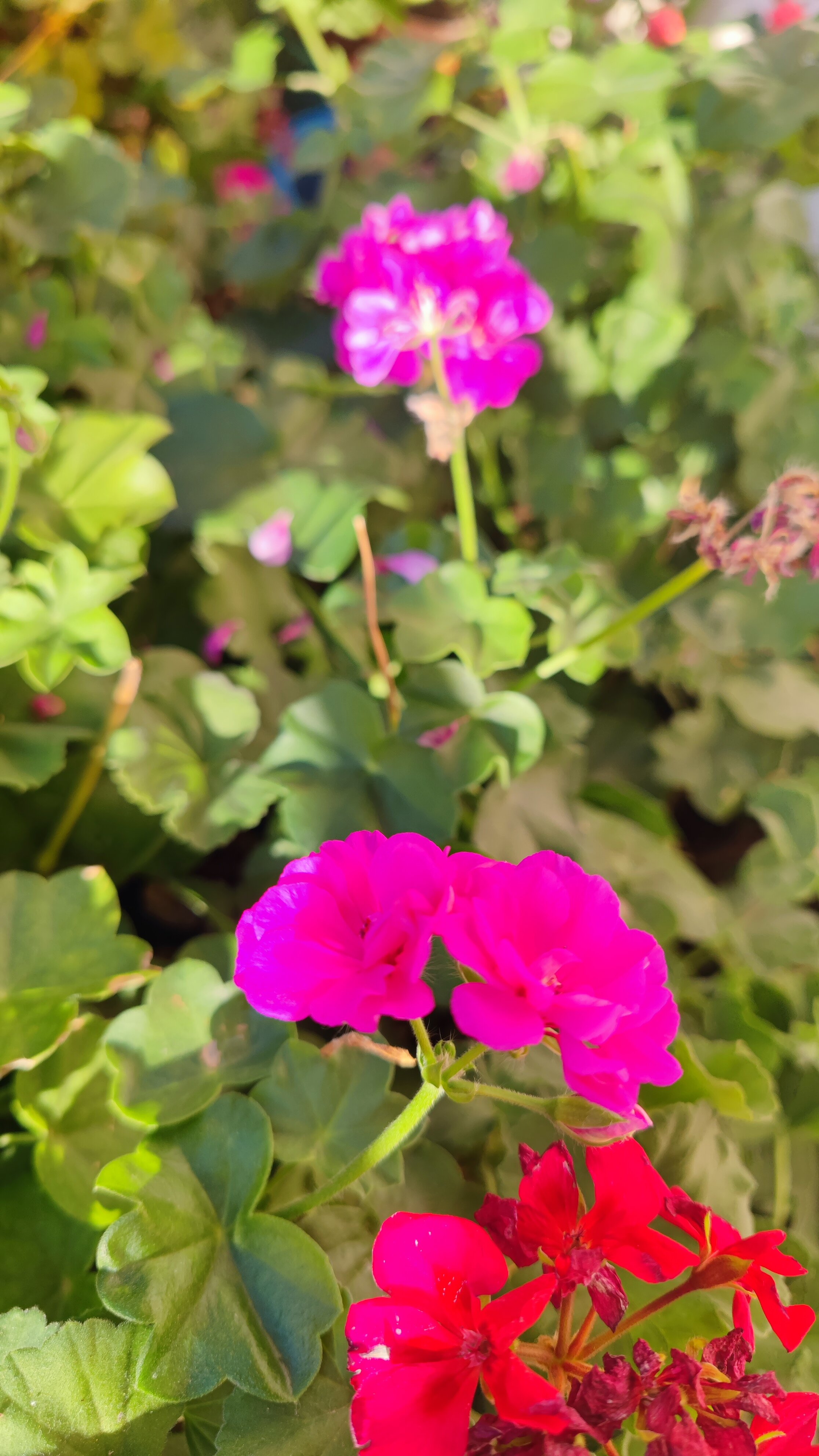 Фото Гостевой дом у Руслана