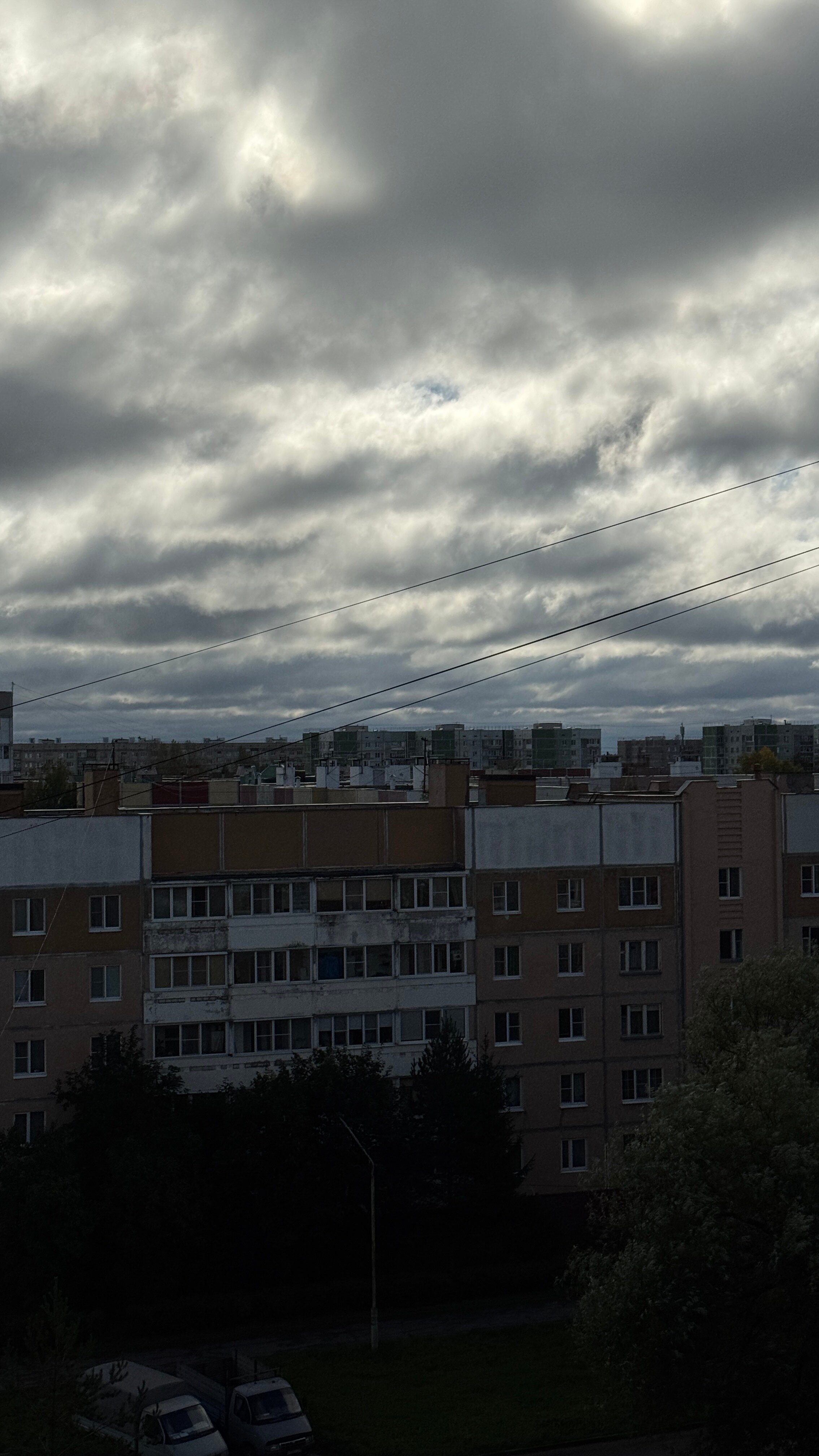 Фото Светлица