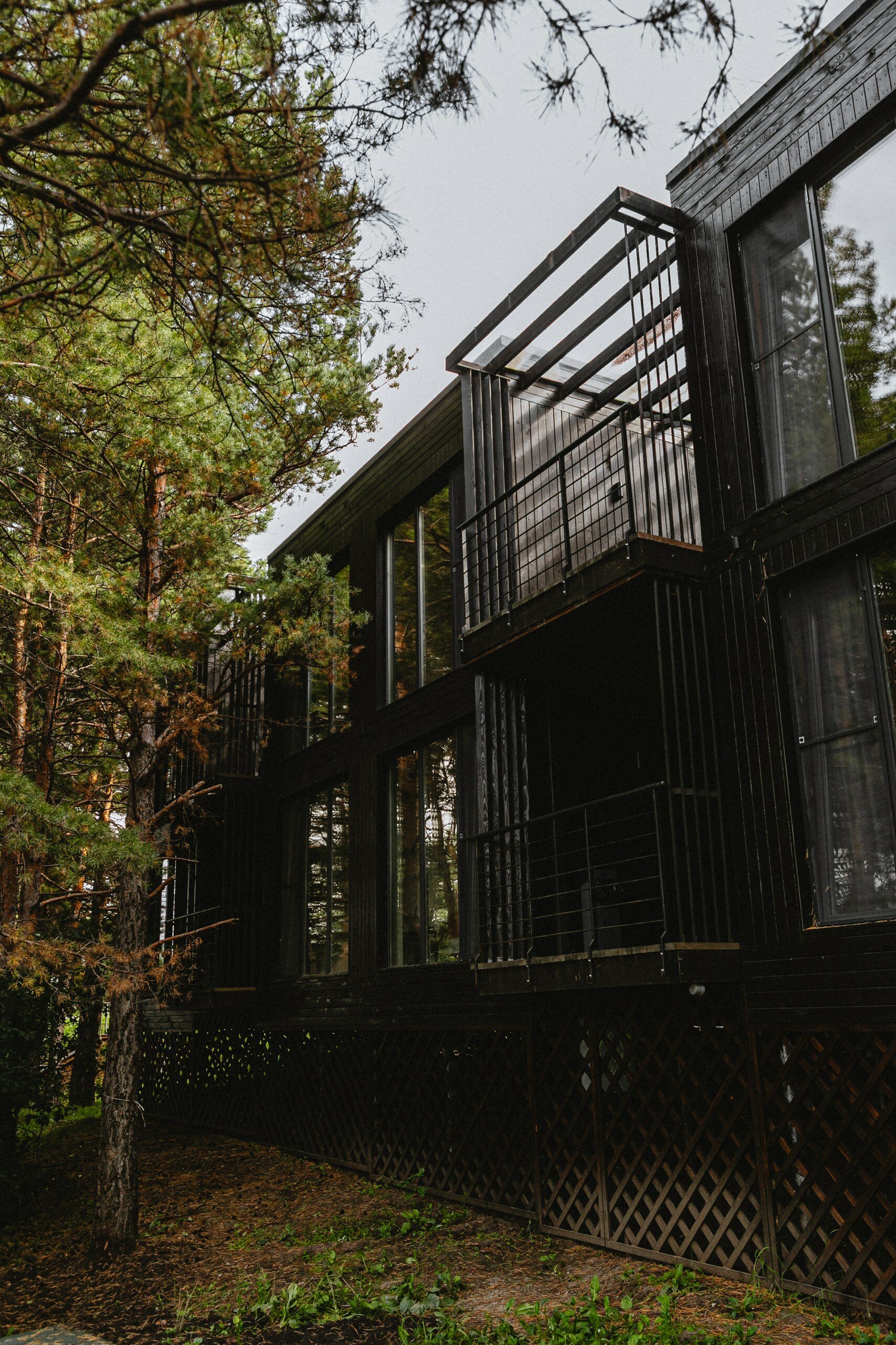 Фото Эко-клуб Шышки