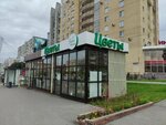 Flower house (ул. Революции, 14/1), магазин цветов в Перми