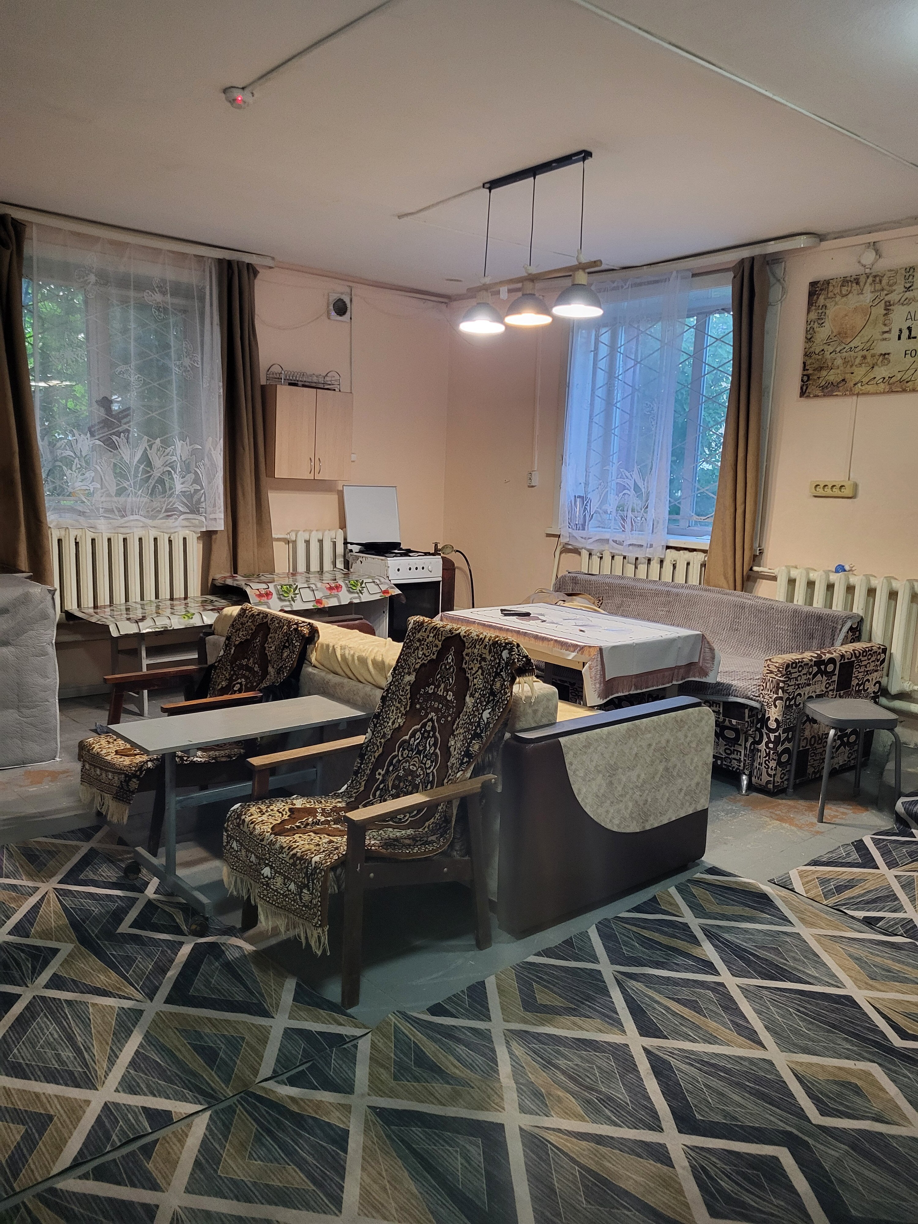 Фото Ромашка