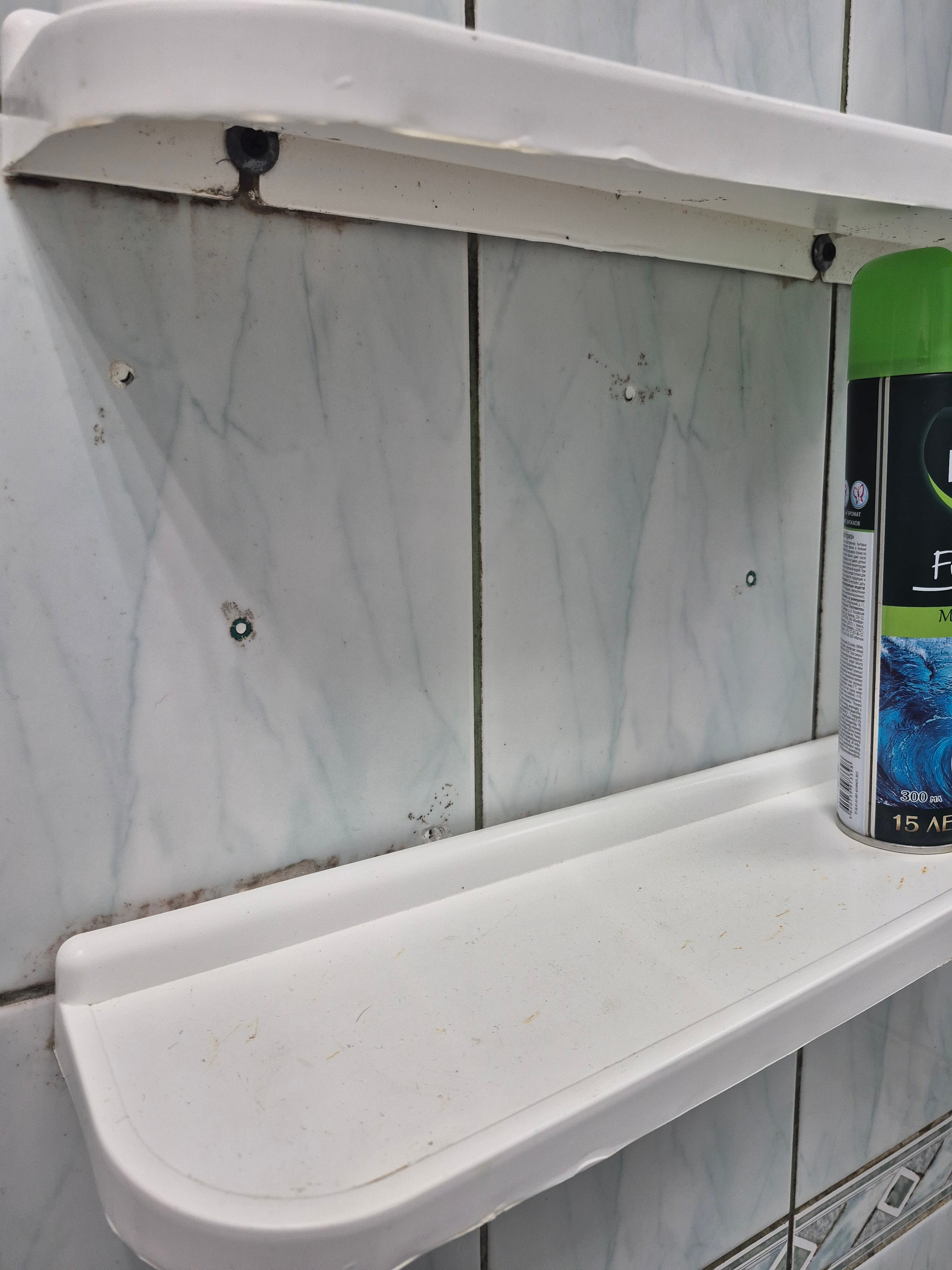 Фото Невский