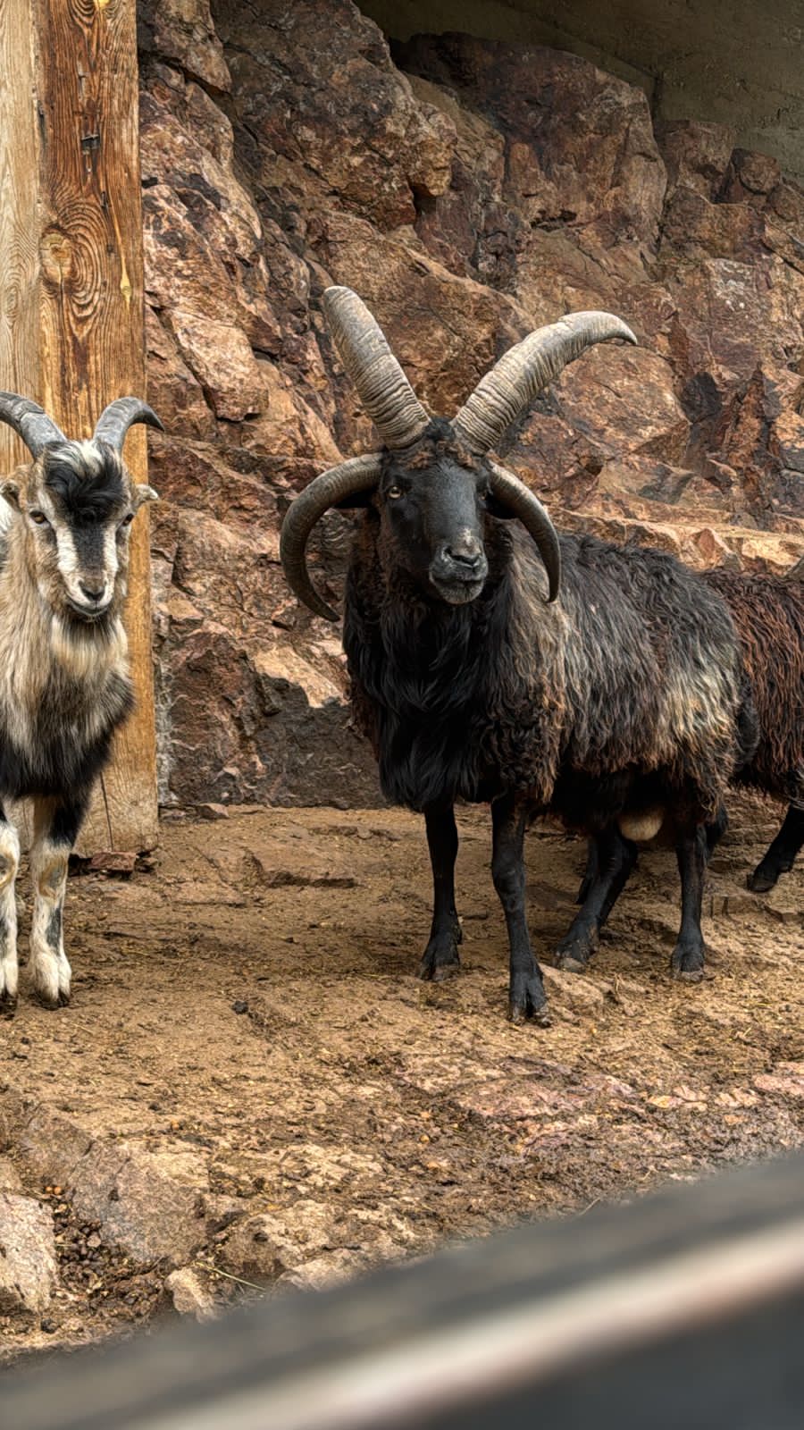 Фото Затерянный Рай у Машука