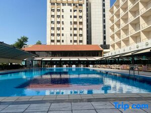 Гостиница Baghdad International Hotel