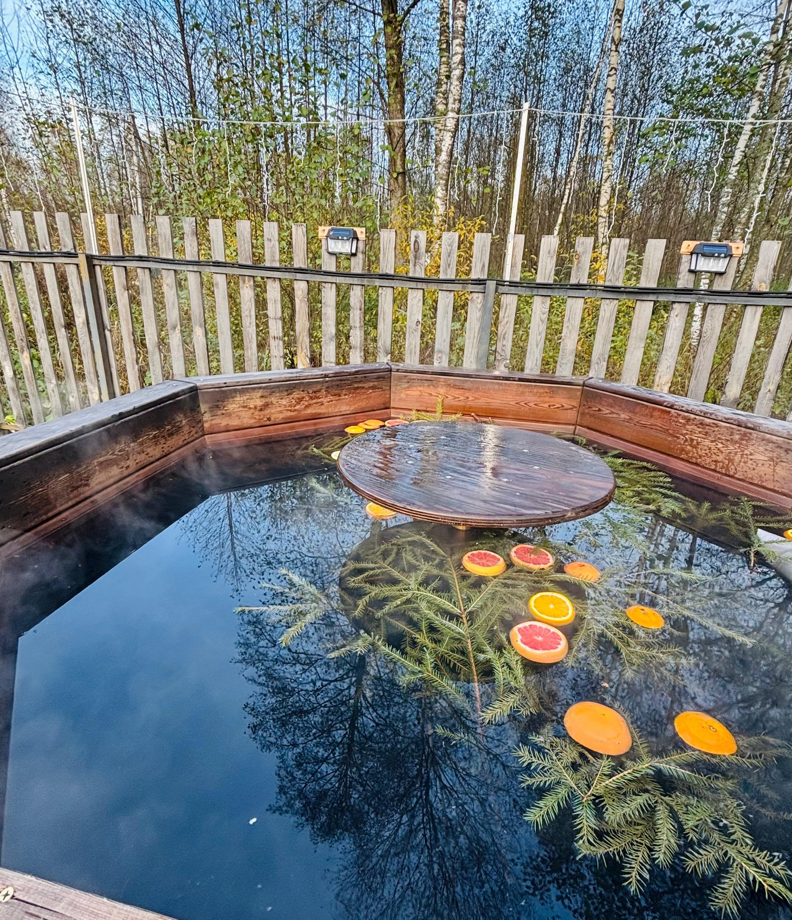 Фото Forest life