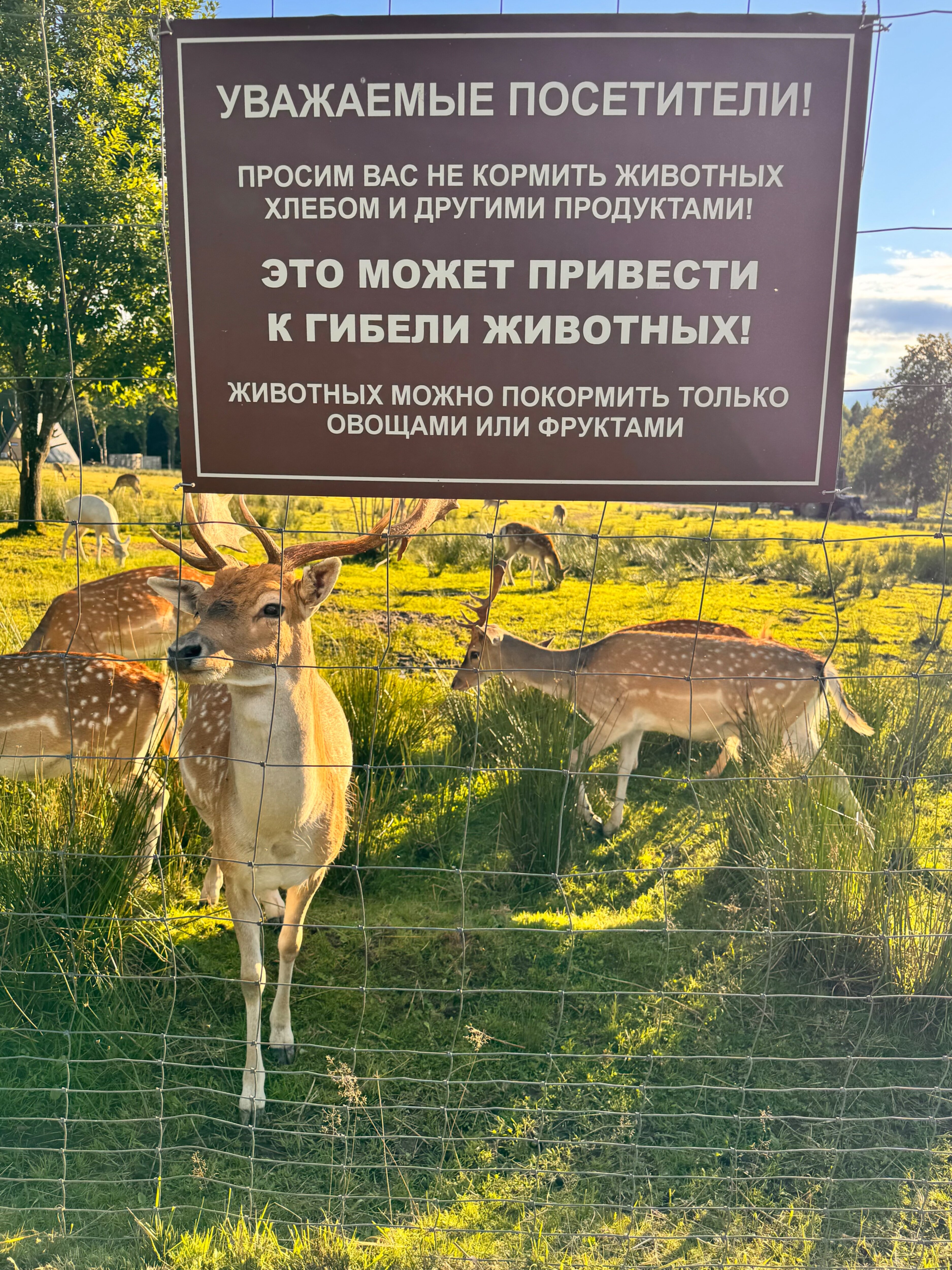 Фото Дом Лани