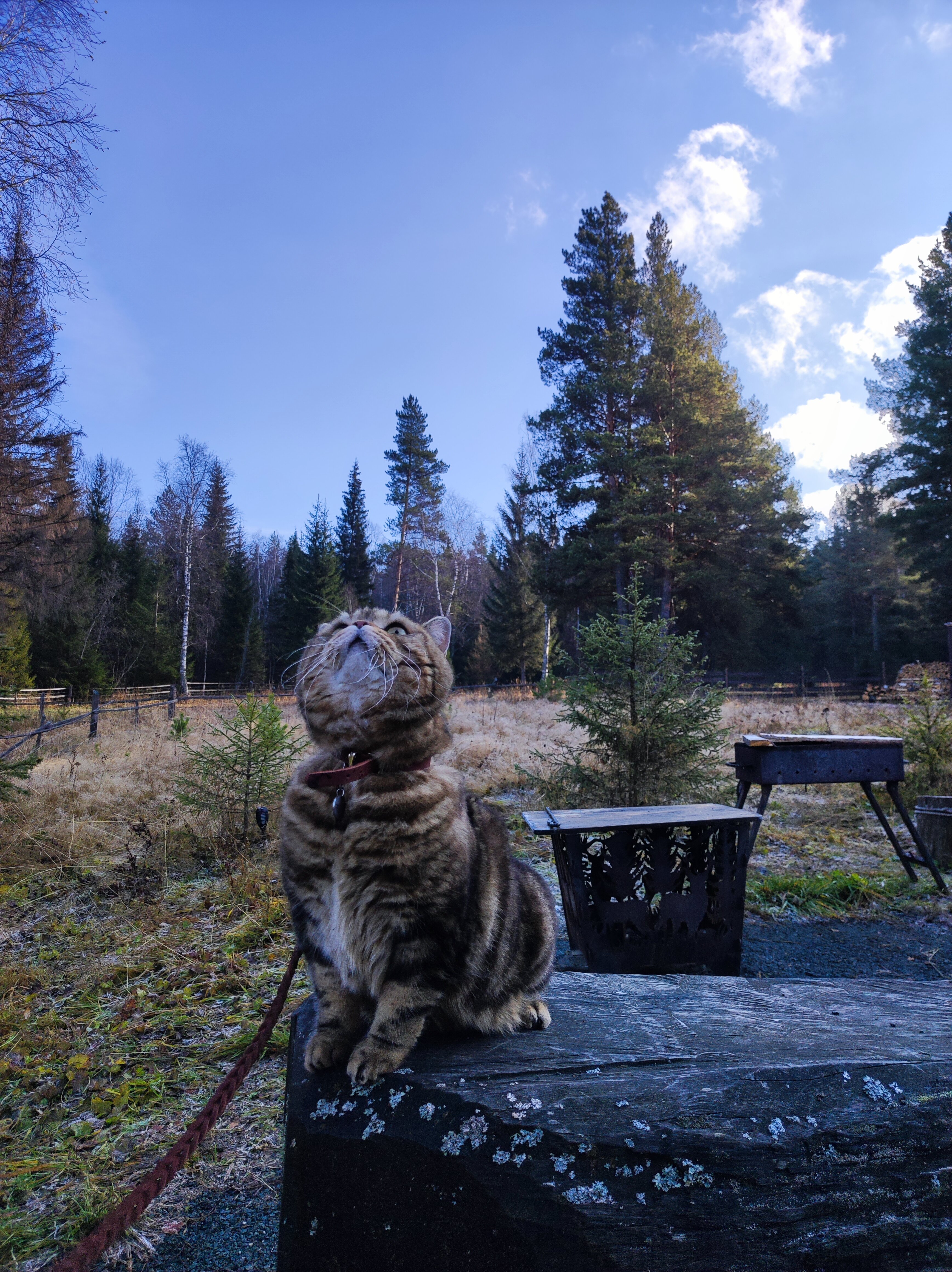 Фото Заветное место