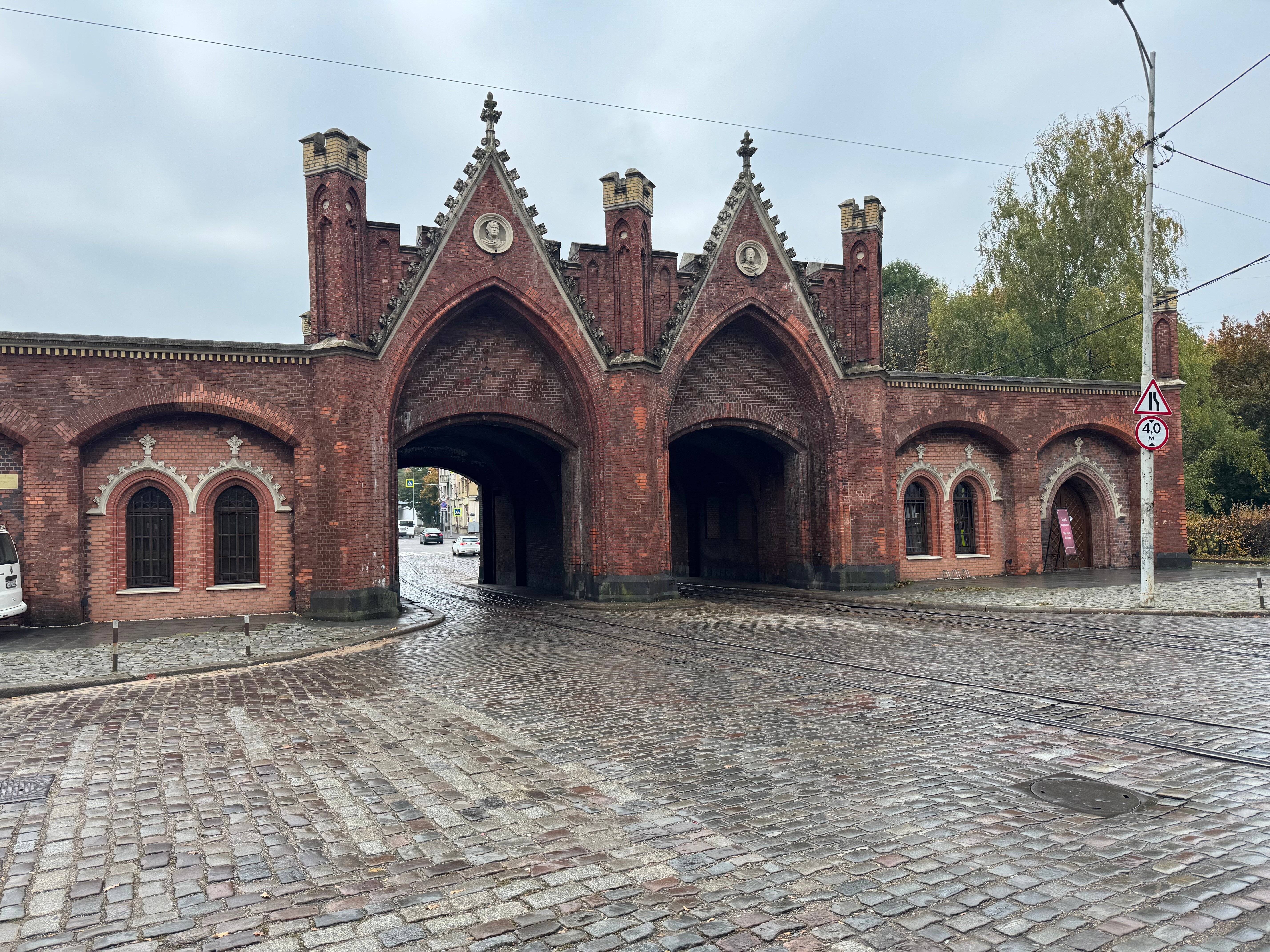 Фото Черепаха