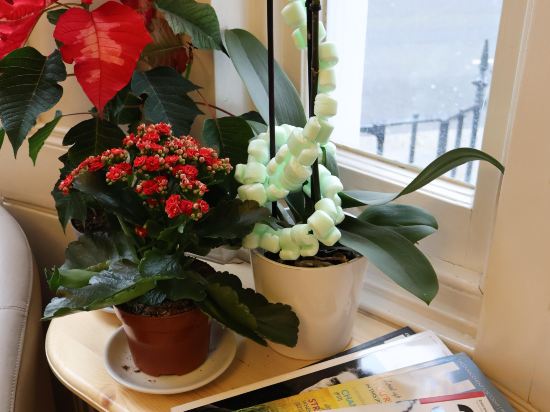 Фото Dreamtel London Kensington