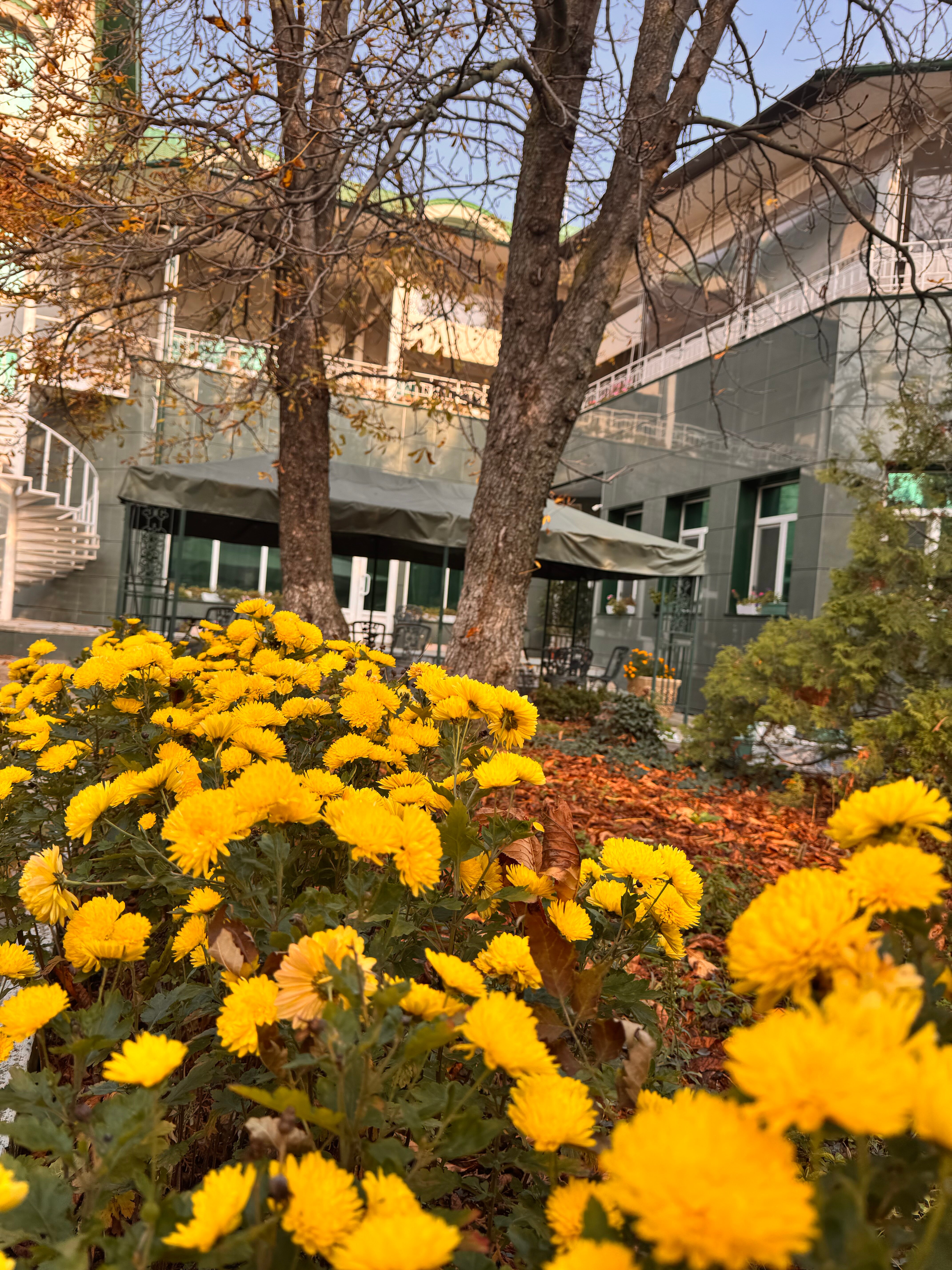 Фото Зелёная