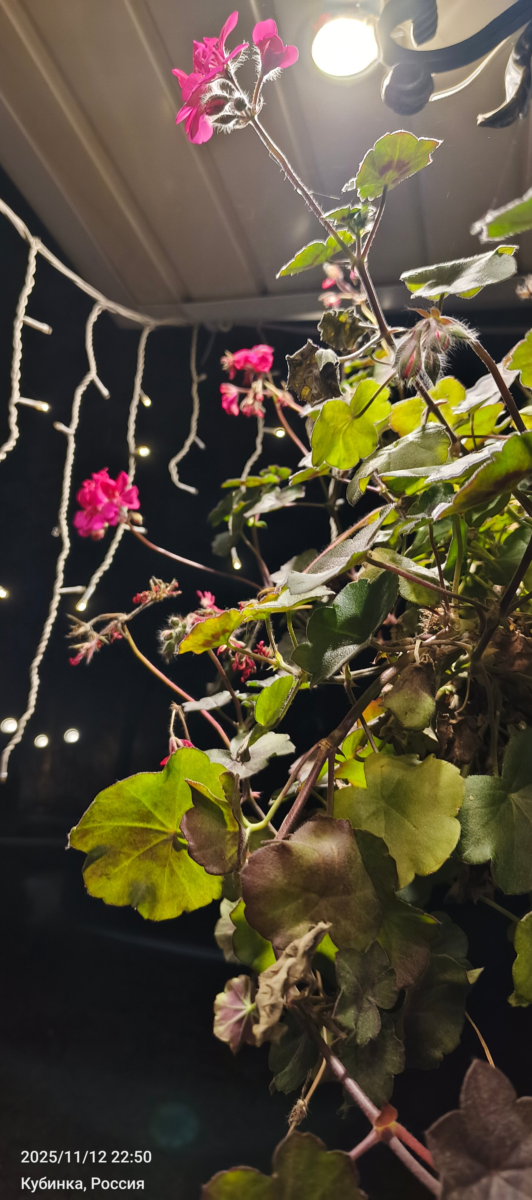 Фото Кубинка парк