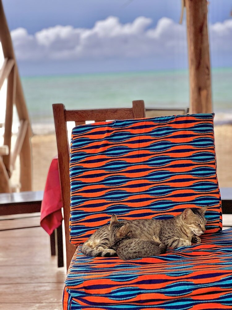 Фото Jambiani White Sands 