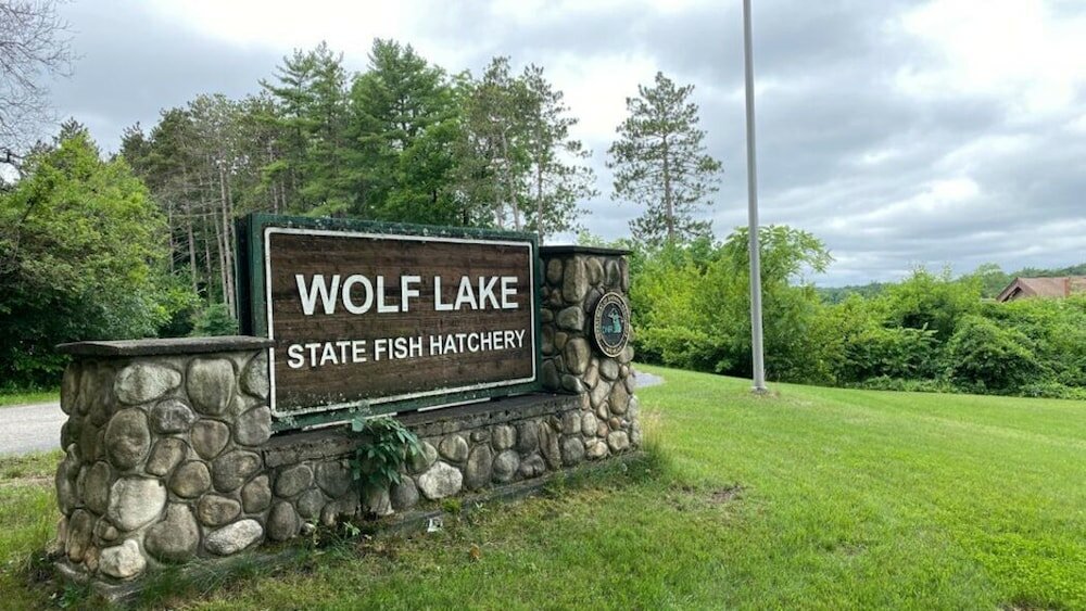 Фото Comfort Inn And Suites Paw Paw