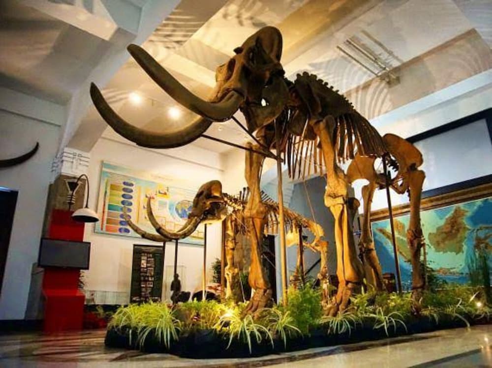 Фото Mercure Bandung Nexa Supratman