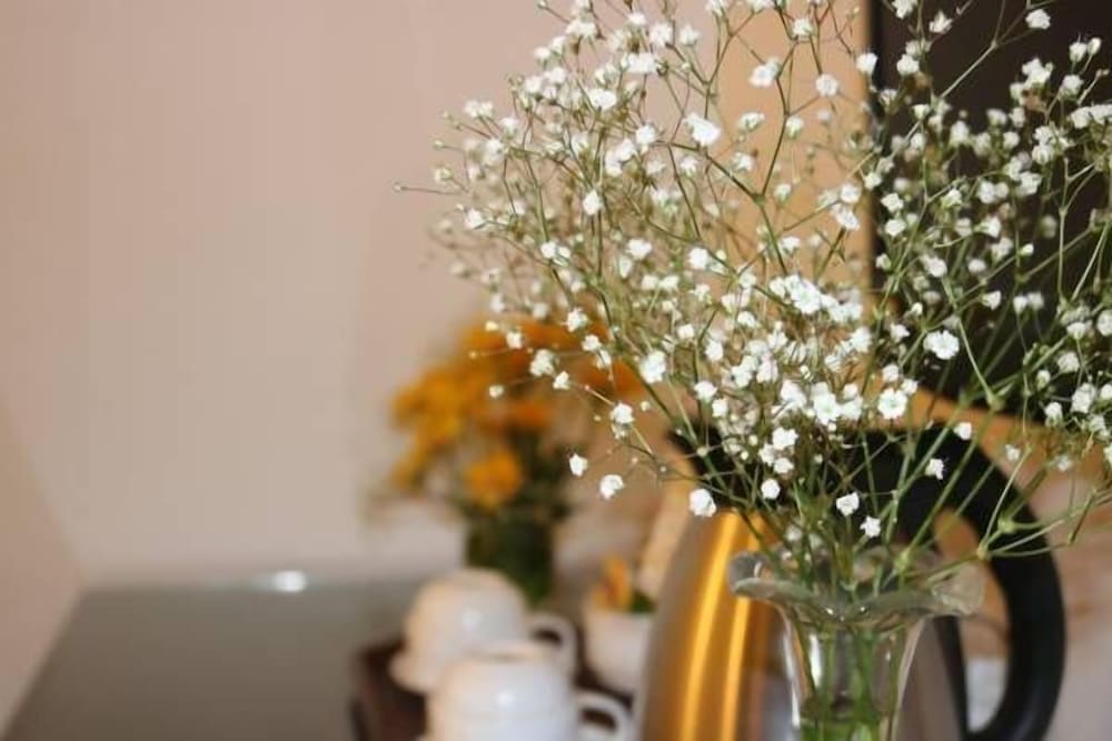 Фото Hoi An Nhi Nhi Hotel