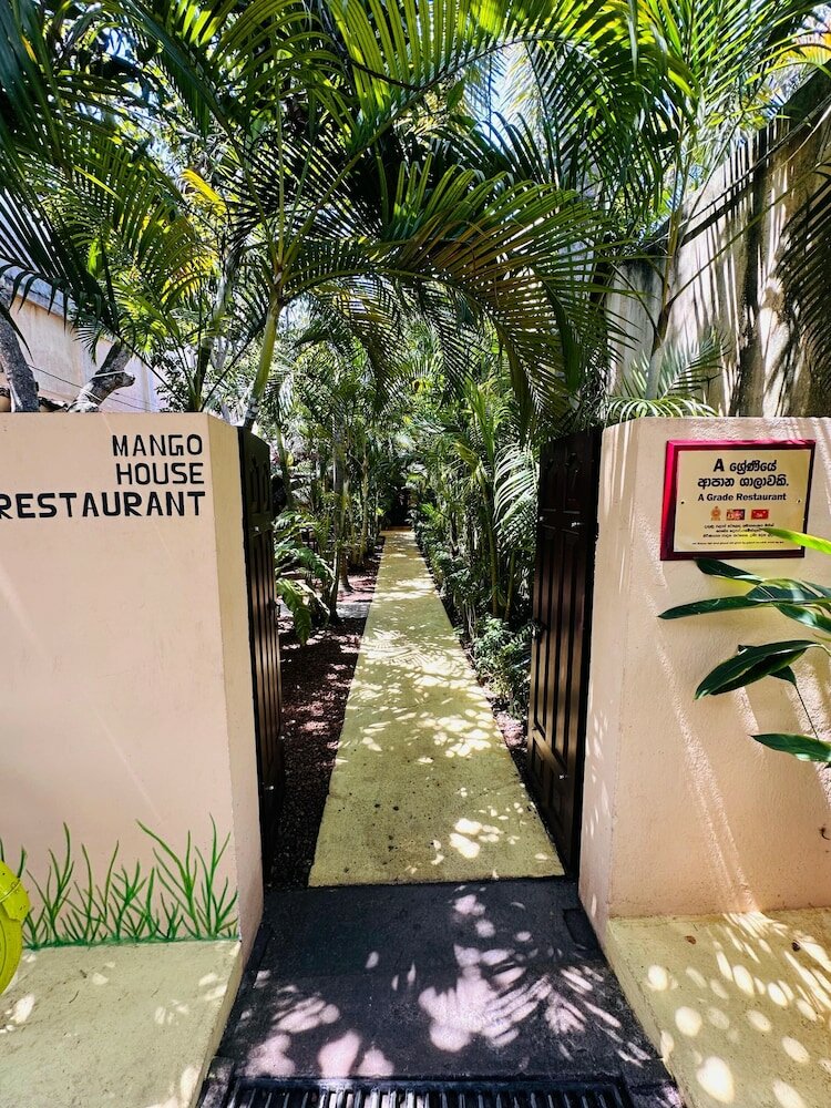 Фото Mango House