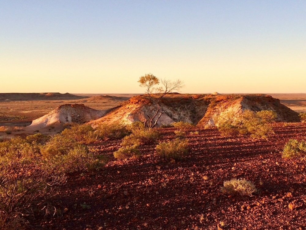 Фото Opal Inn Hotel Motel